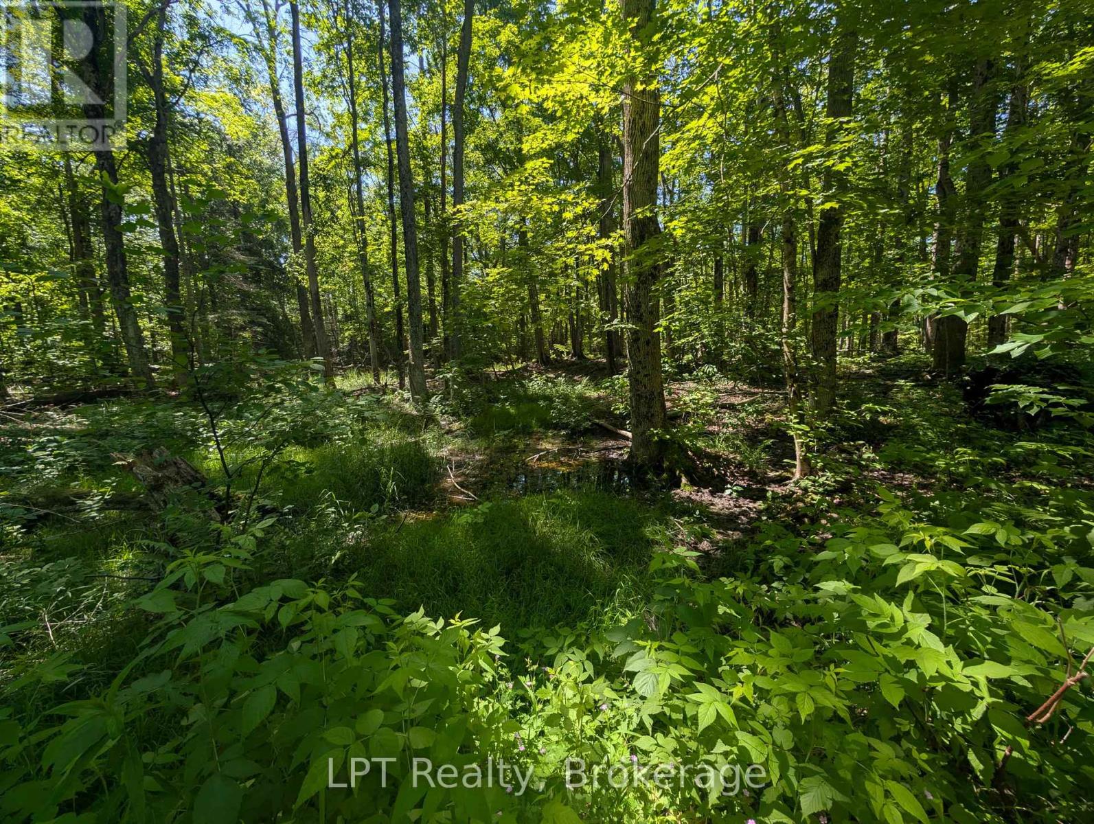 590-608 Huron Road, South Bruce Peninsula, Ontario  N0H 2T0 - Photo 35 - X12965816