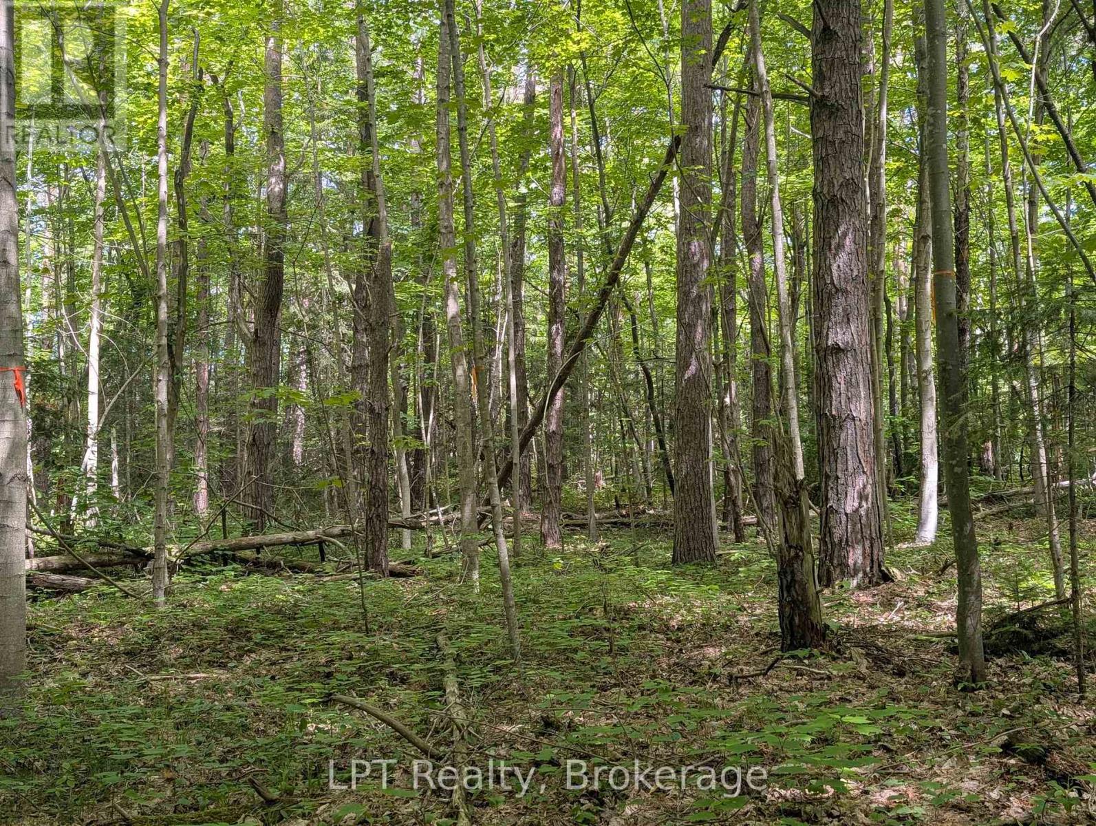 590-608 Huron Road, South Bruce Peninsula, Ontario  N0H 2T0 - Photo 45 - X12965816