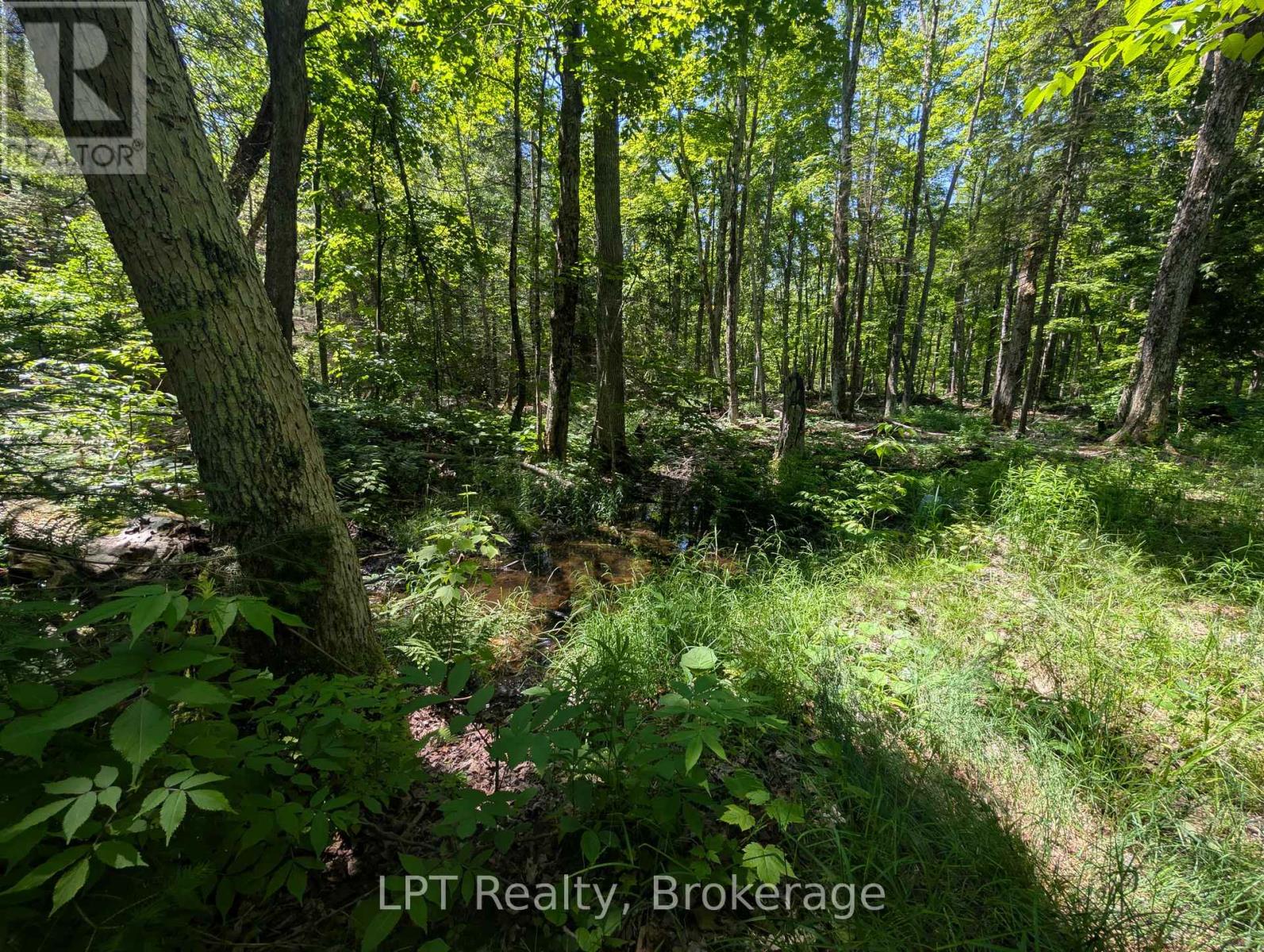 590-608 Huron Road, South Bruce Peninsula, Ontario  N0H 2T0 - Photo 36 - X12965816