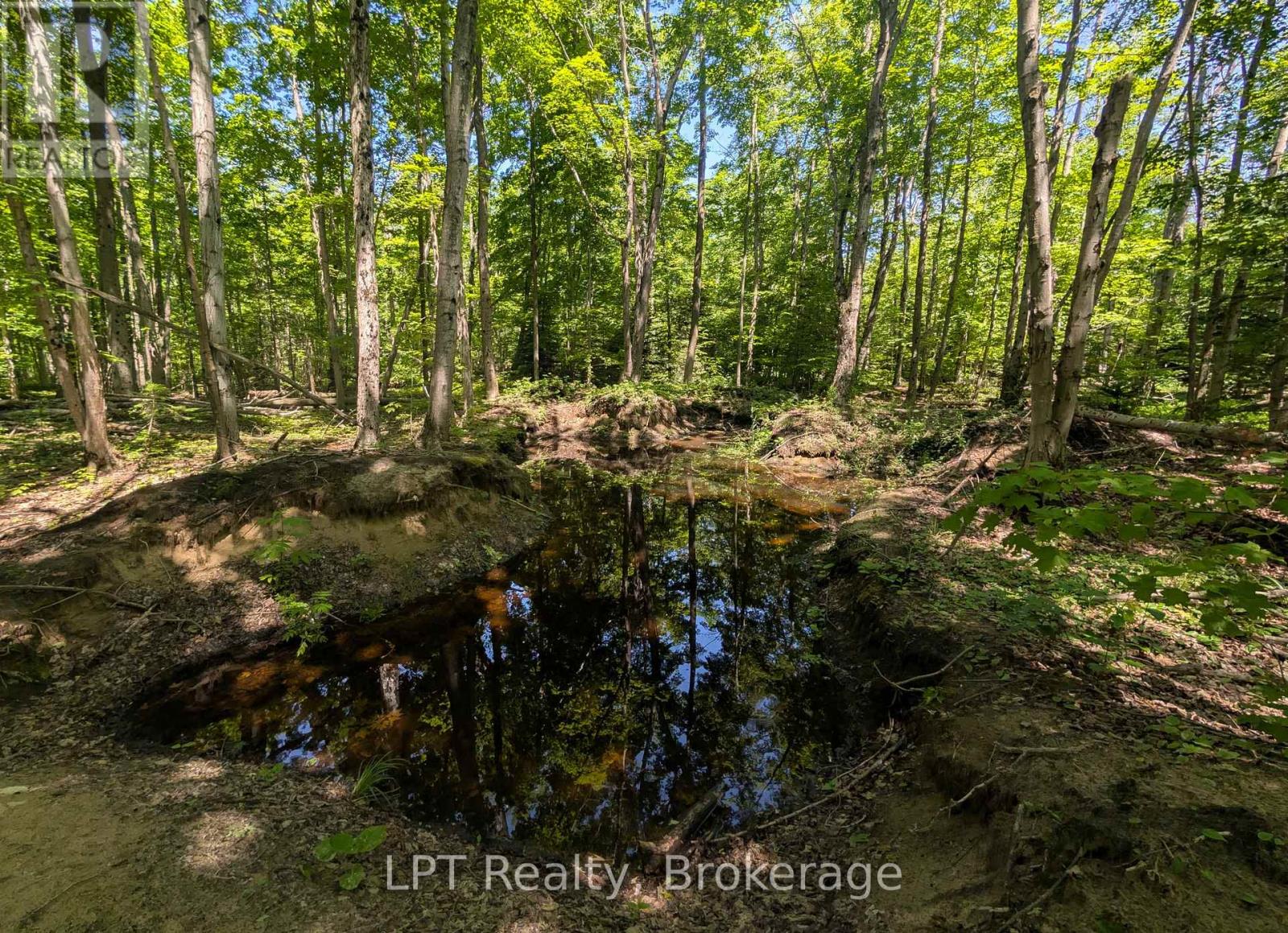 590-608 Huron Road, South Bruce Peninsula, Ontario  N0H 2T0 - Photo 7 - X12965816