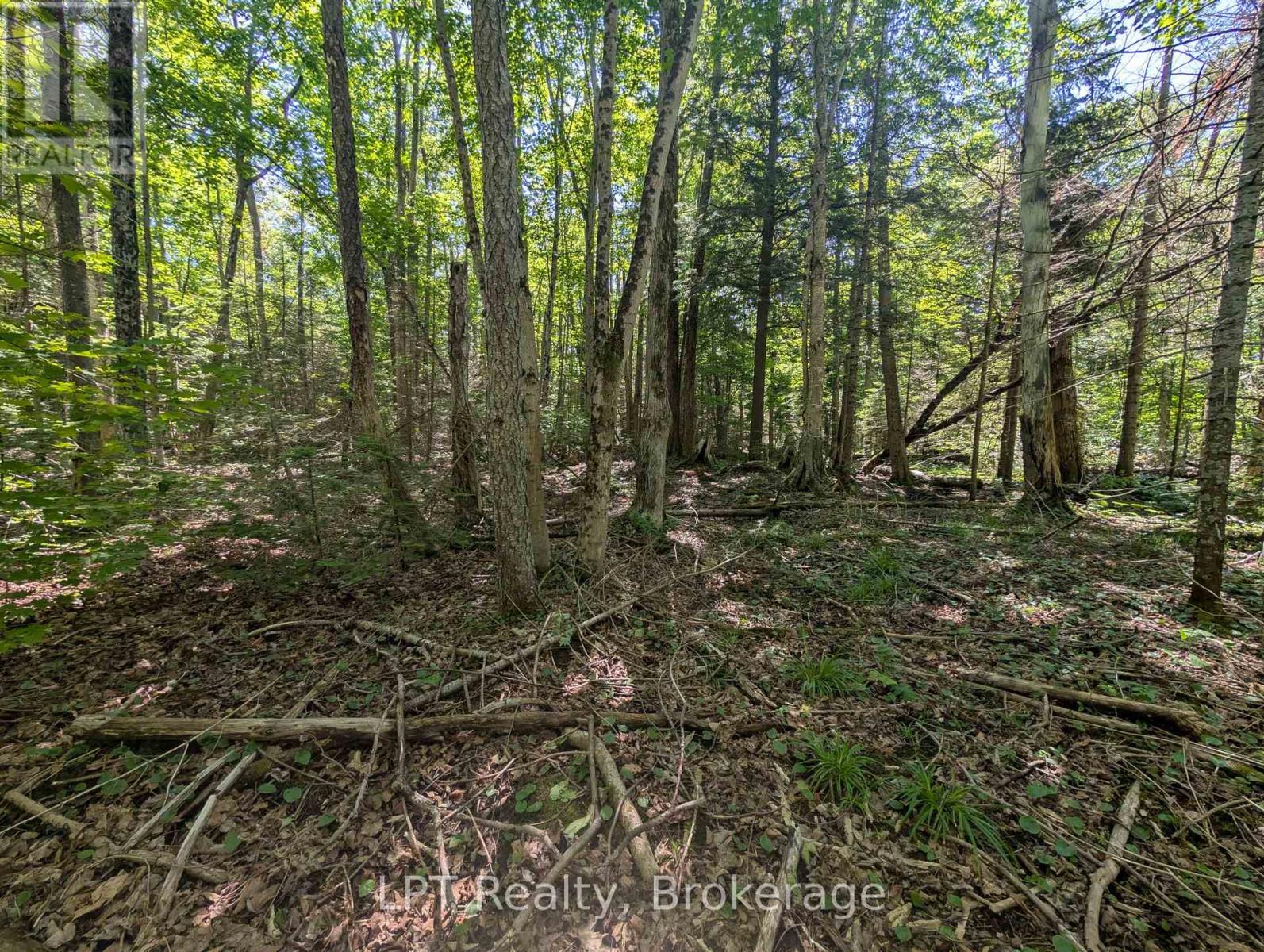 590-608 Huron Road, South Bruce Peninsula, Ontario  N0H 2T0 - Photo 46 - X12965816