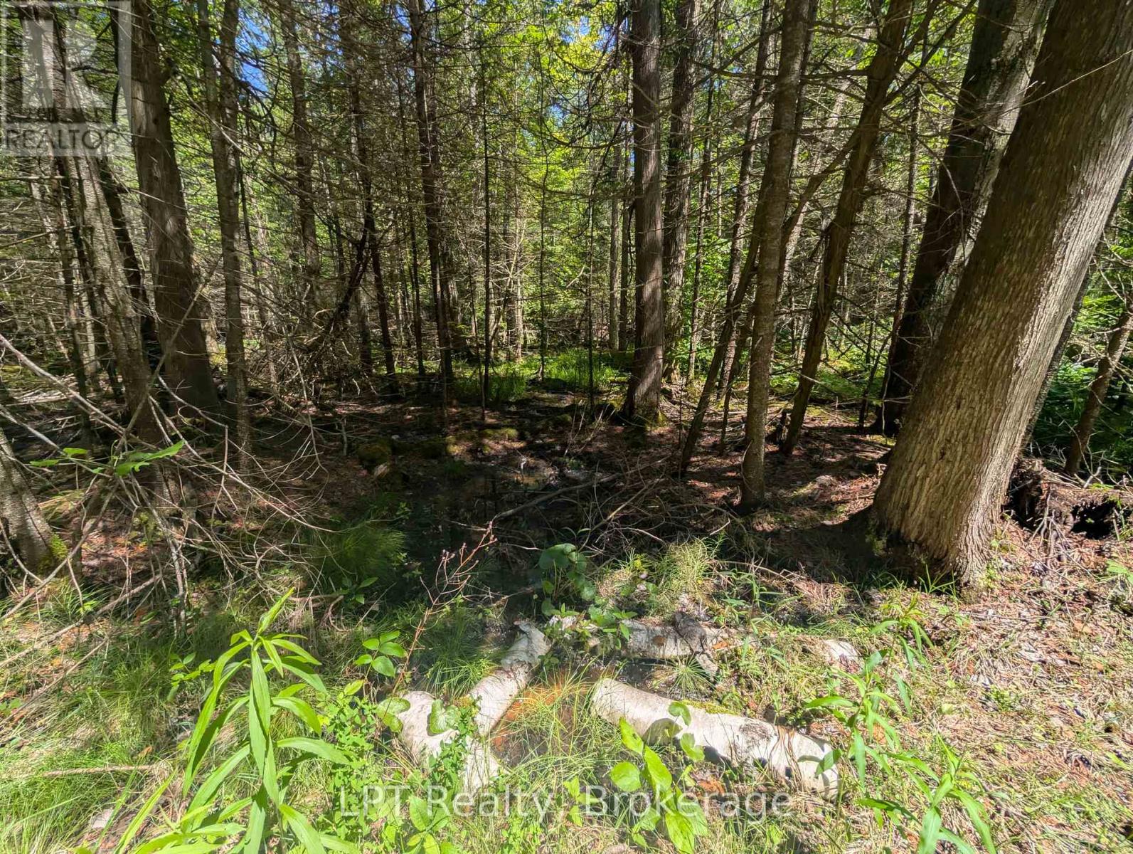 590-608 Huron Road, South Bruce Peninsula, Ontario  N0H 2T0 - Photo 49 - X12965816