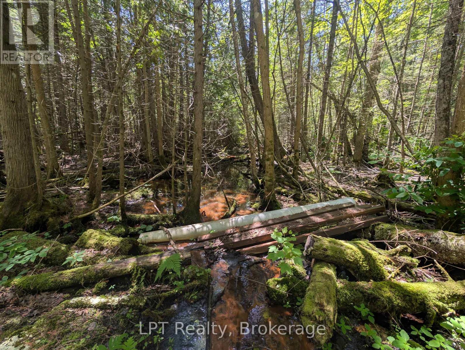 590-608 Huron Road, South Bruce Peninsula, Ontario  N0H 2T0 - Photo 29 - X12965816