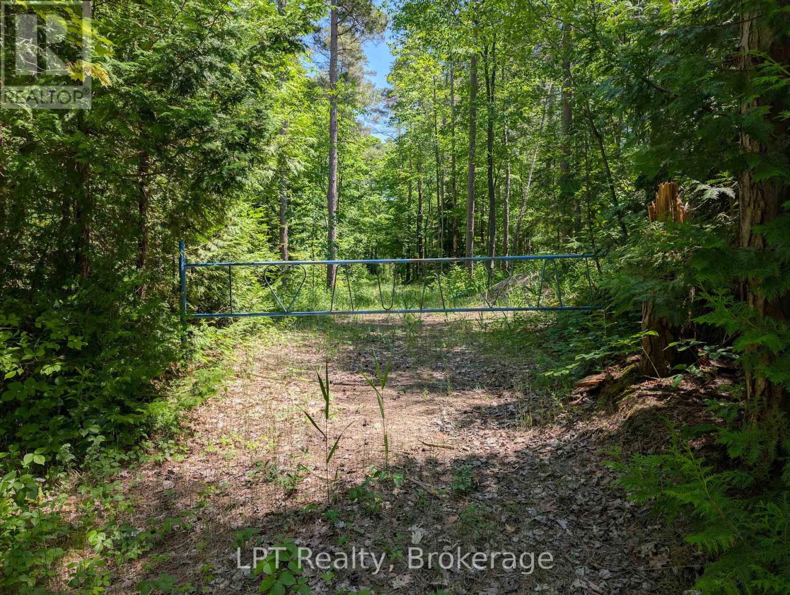 590-608 Huron Road, South Bruce Peninsula, Ontario  N0H 2T0 - Photo 5 - X12965816