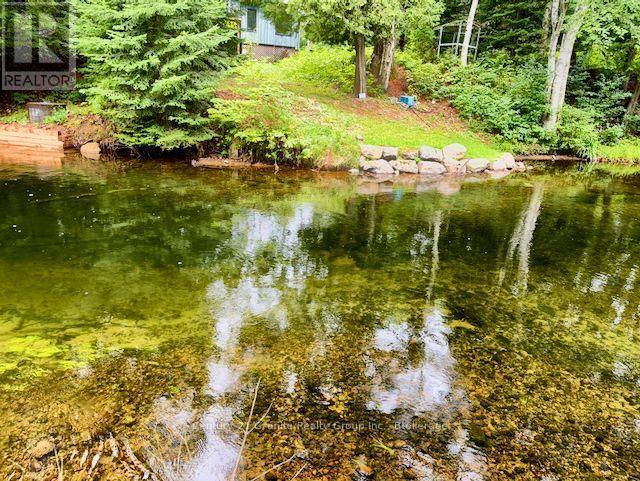 1097 Hawk Valley Road, Algonquin Highlands, Ontario  K0M 1S0 - Photo 3 - X13683290