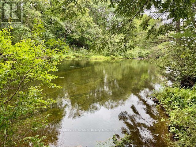 1097 Hawk Valley Road, Algonquin Highlands, Ontario  K0M 1S0 - Photo 42 - X13683290