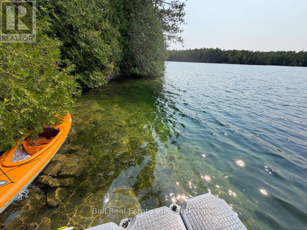 0 Wao Mayo Lake, Carlow/mayo, Ontario  K0L 2M0 - Photo 20 - X13692096
