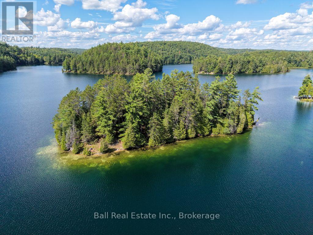 0 Wao Mayo Lake, Carlow/mayo, Ontario  K0L 2M0 - Photo 25 - X13692096