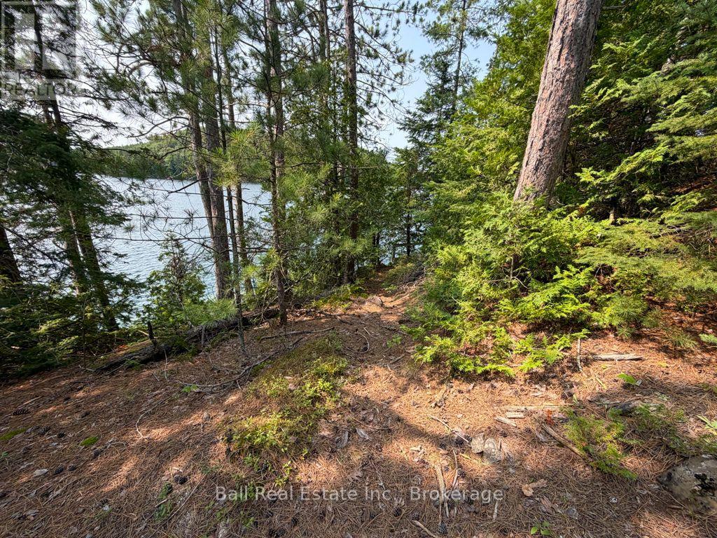 0 Wao Mayo Lake, Carlow/mayo, Ontario  K0L 2M0 - Photo 39 - X13692096