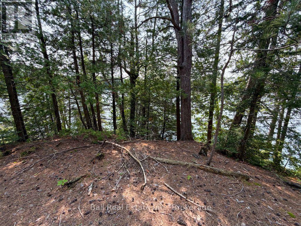 0 Wao Mayo Lake, Carlow/mayo, Ontario  K0L 2M0 - Photo 40 - X13692096