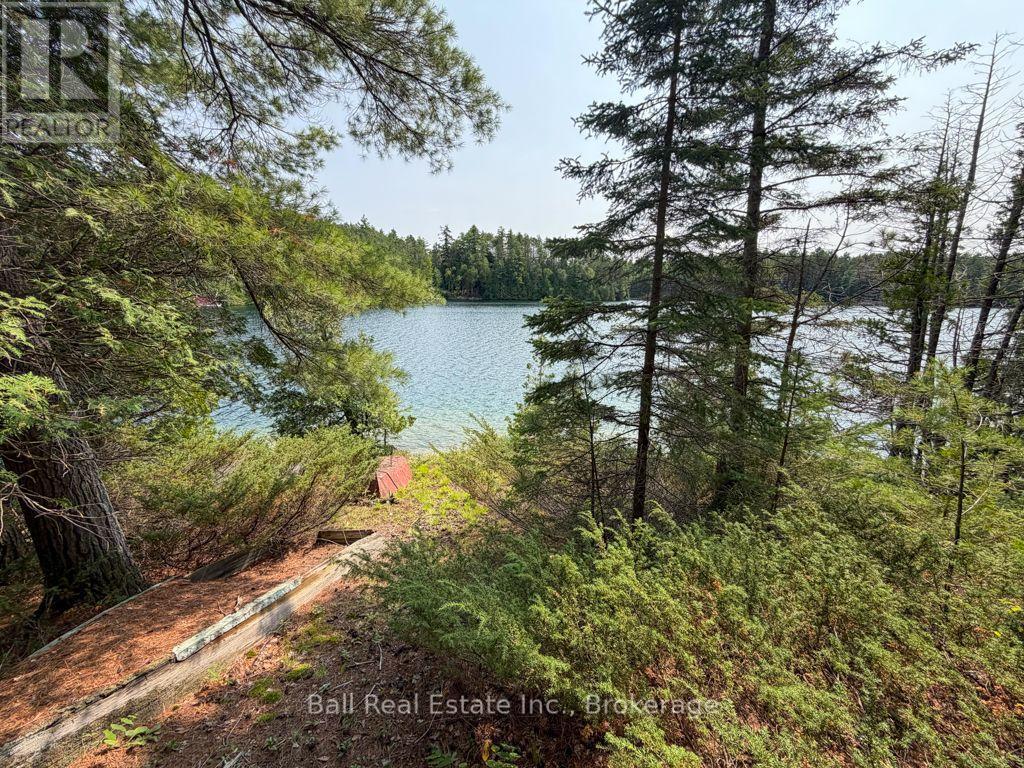 0 Wao Mayo Lake, Carlow/mayo, Ontario  K0L 2M0 - Photo 42 - X13692096