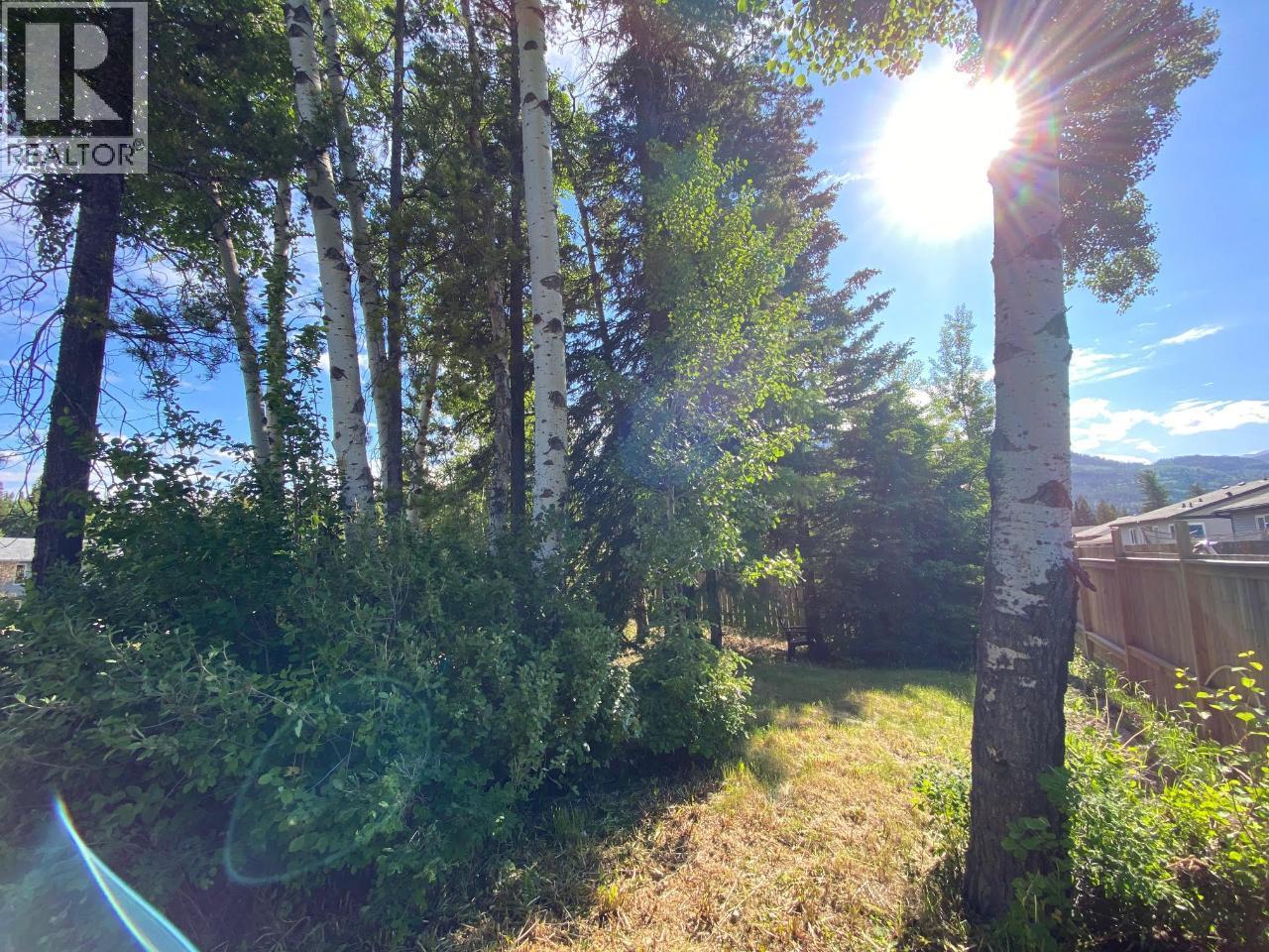 1316 Cypress Drive, Sparwood, British Columbia  V0B 2G2 - Photo 9 - 10337280