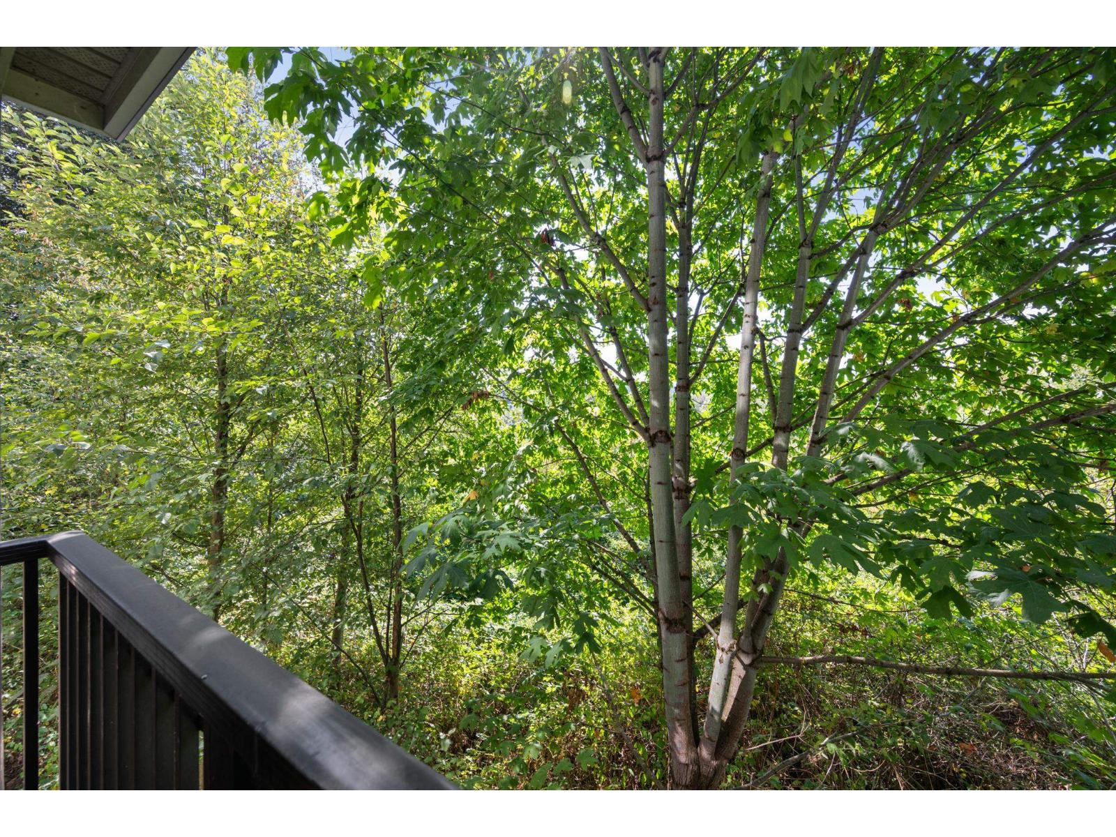 C207 8929 202 Street, Langley, British Columbia  V1M 0B4 - Photo 19 - R3156822