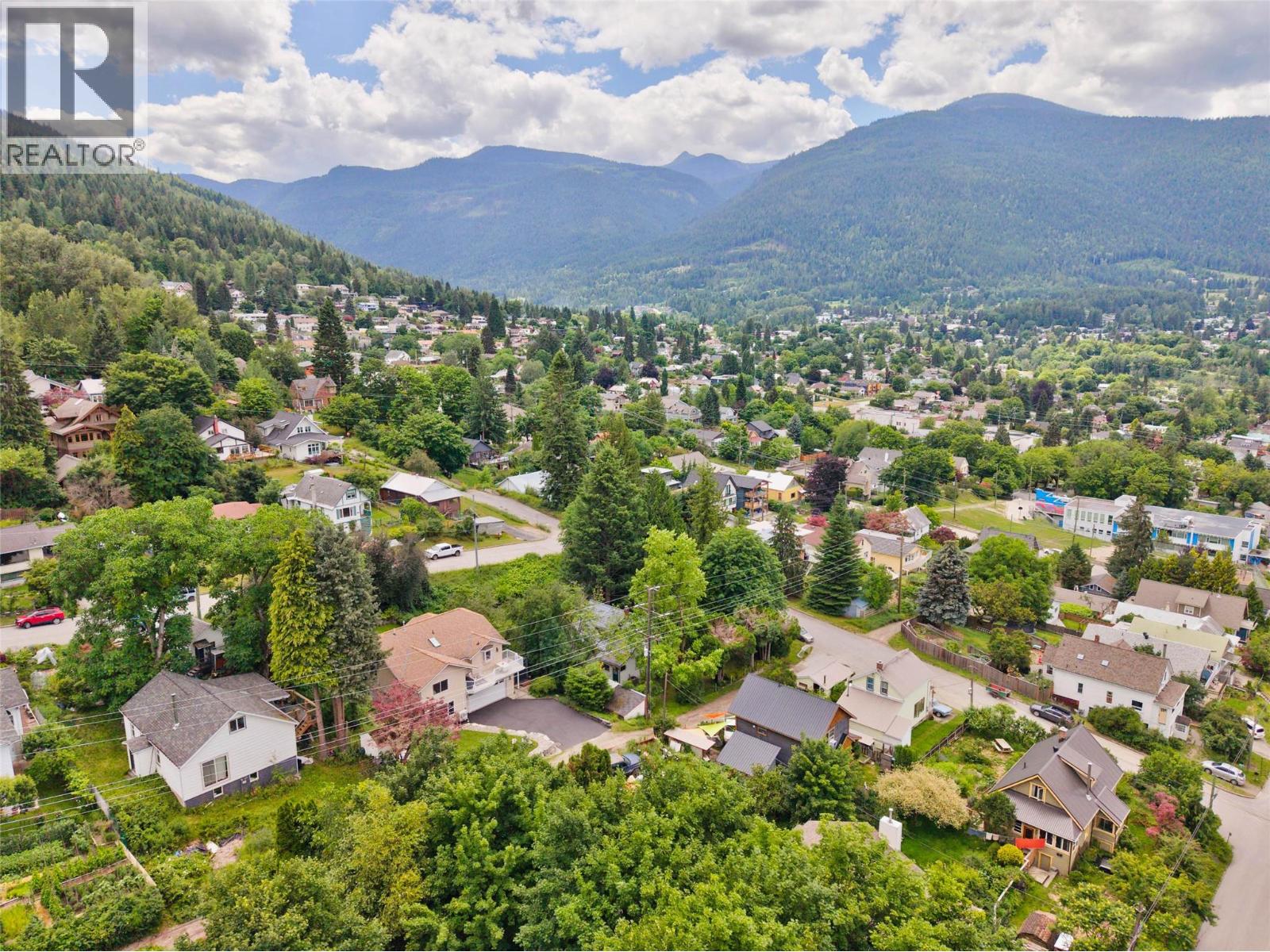 1007 Hoover Street, Nelson, British Columbia V1L 4X9 - Photo 60 - 10398131