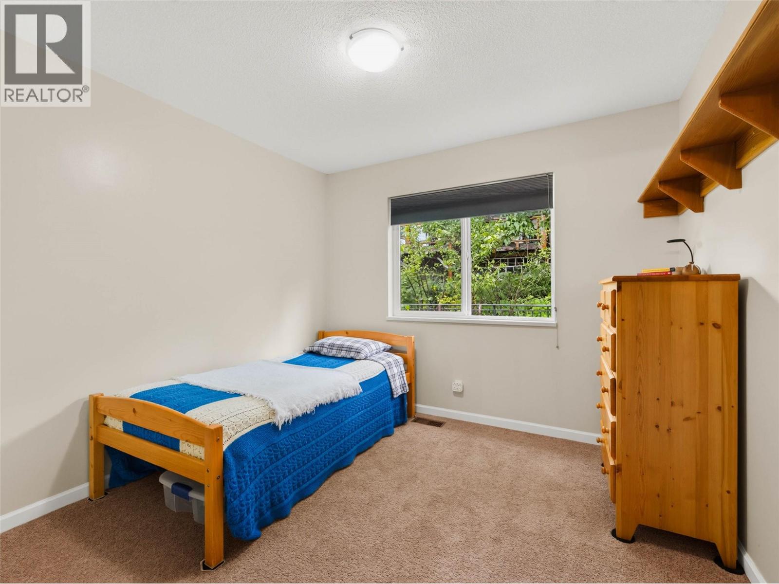 1007 Hoover Street, Nelson, British Columbia V1L 4X9 - Photo 31 - 10398131