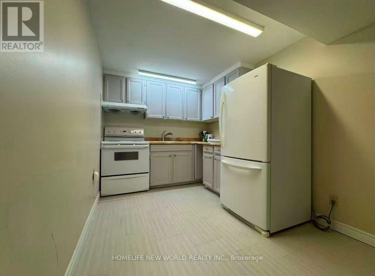 Basement - 162 Valdor Drive, Toronto, Ontario  M1V 1R5 - Photo 7 - E13692258