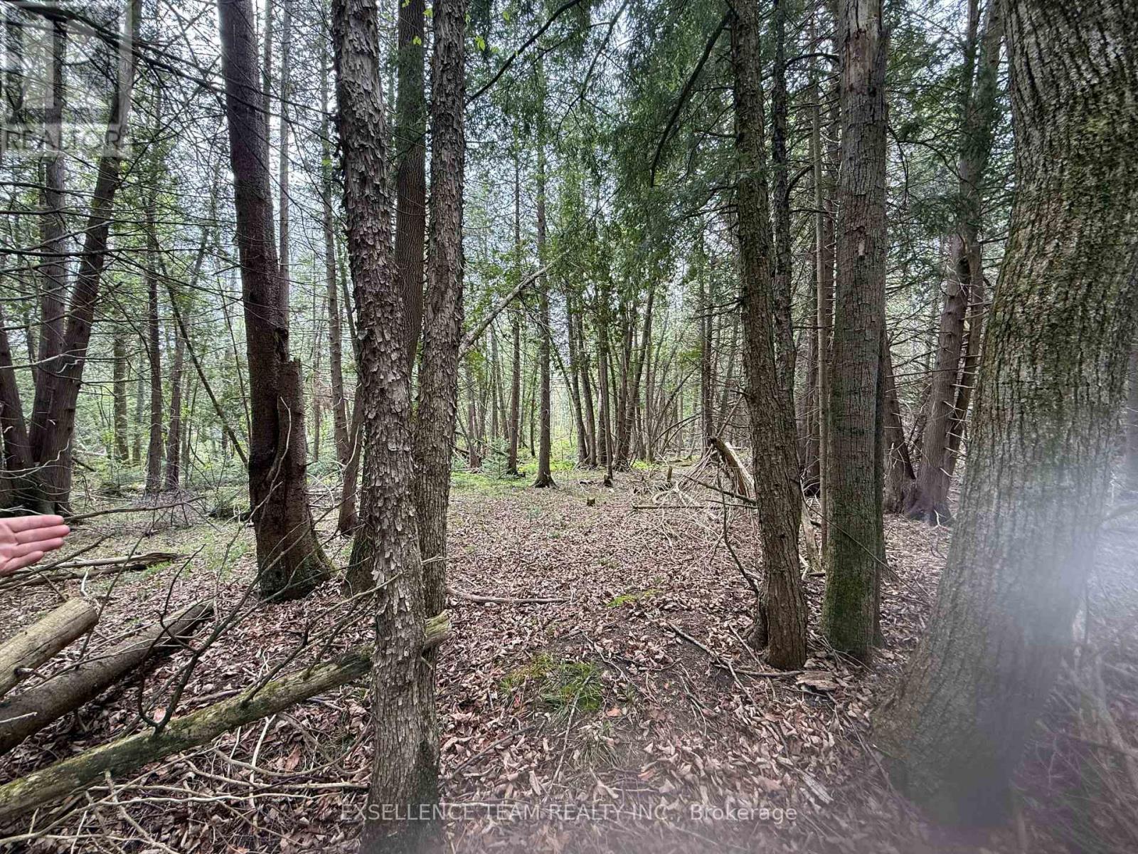 00 Kenyon Road, North Glengarry, Ontario  K0C 1A0 - Photo 4 - X13692086