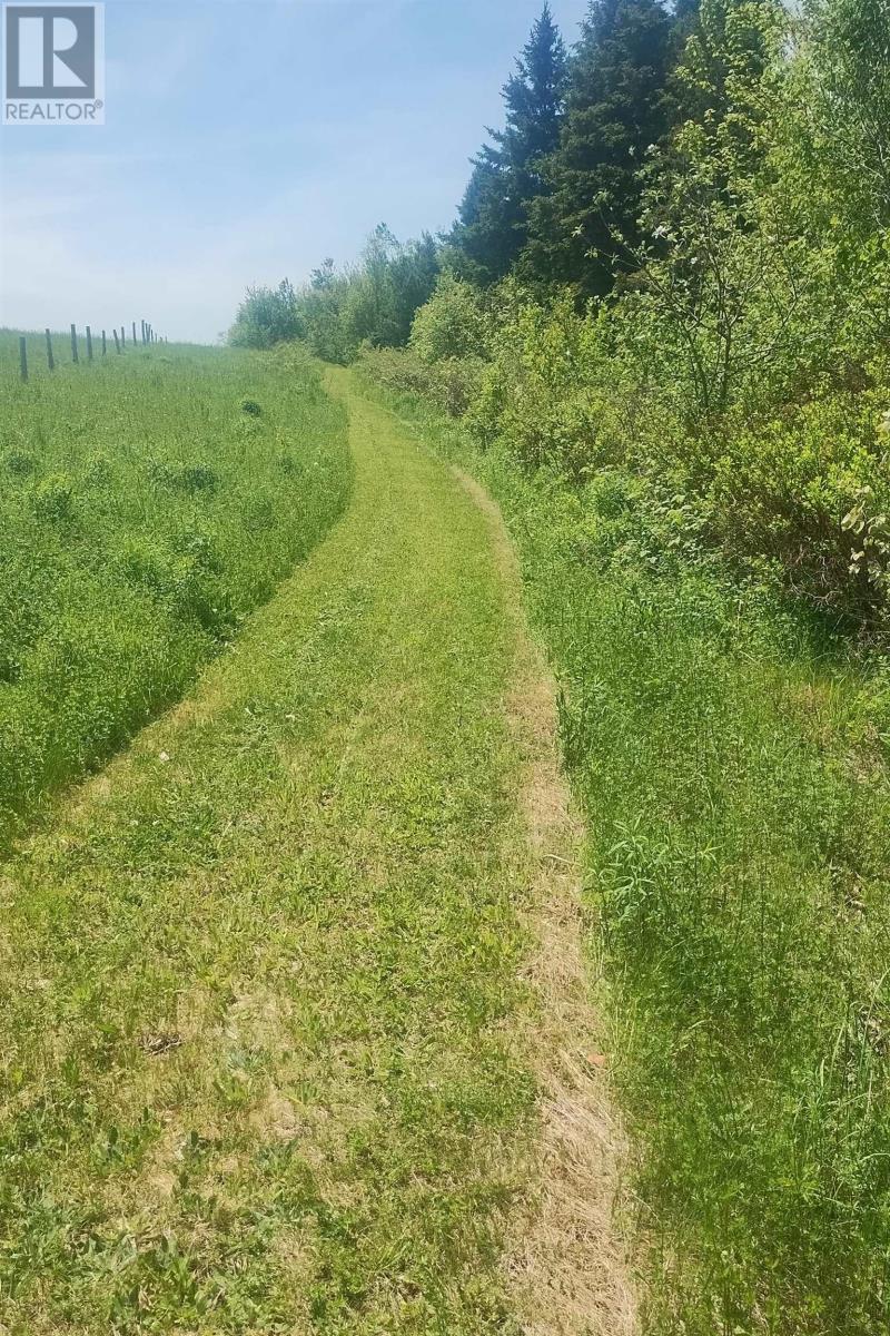 Lot 25-2 7737 Highway 321, Roslin, Nova Scotia B0K 1K0 - Photo 8 - 202604992