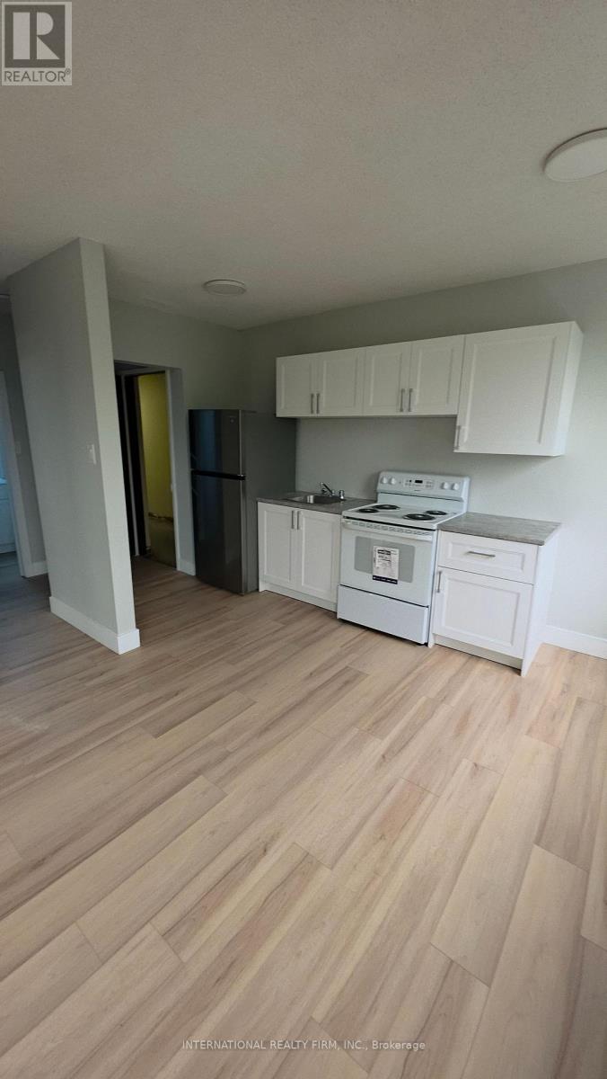301 - 295 Melvin Avenue, Hamilton, Ontario  L8H 2K6 - Photo 3 - X13111398