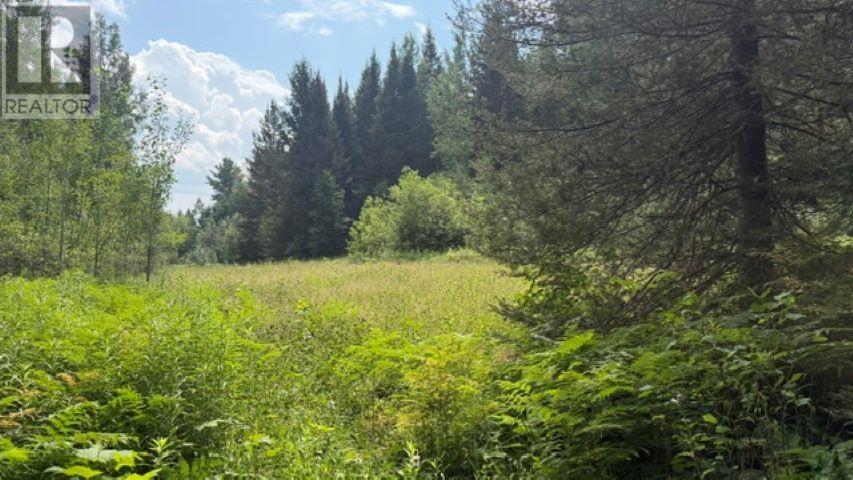 Lot 38 Road 4 N, Devon, Ontario P7B 5E4 - Photo 10 - TB2602057