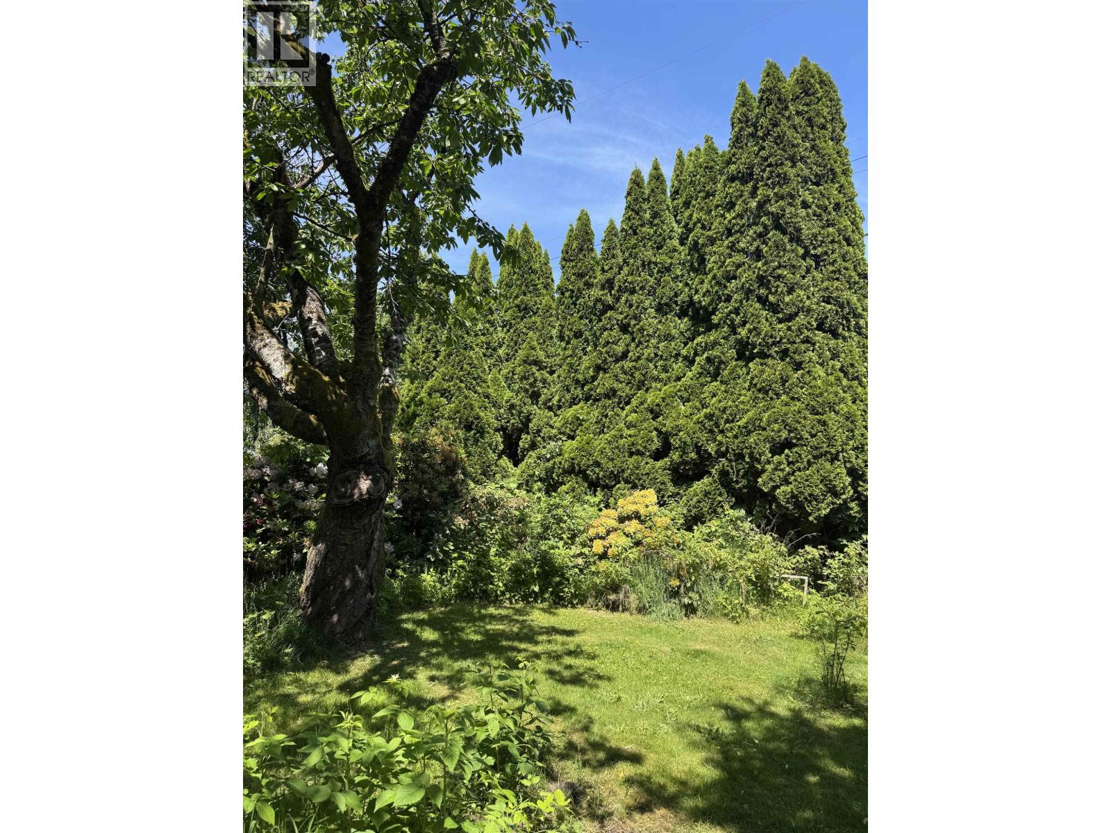311 W 21st Avenue, Vancouver, British Columbia  V5Y 2E4 - Photo 5 - R3134762