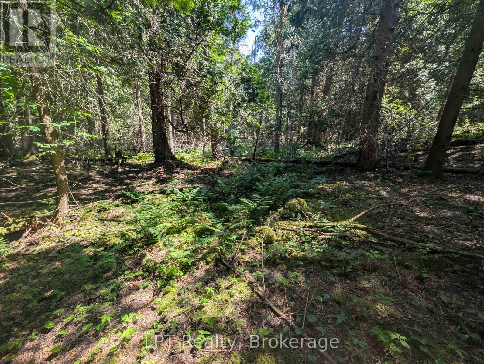 Pt Lt 56 Con 4 Cape Hurd Road, Northern Bruce Peninsula, Ontario  N0H 2R0 - Photo 23 - X12872090