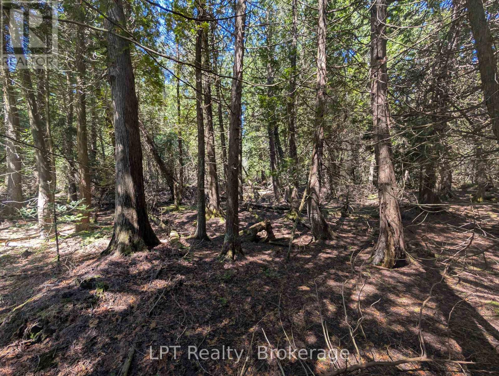 Pt Lt 56 Con 4 Cape Hurd Road, Northern Bruce Peninsula, Ontario  N0H 2R0 - Photo 10 - X12872090