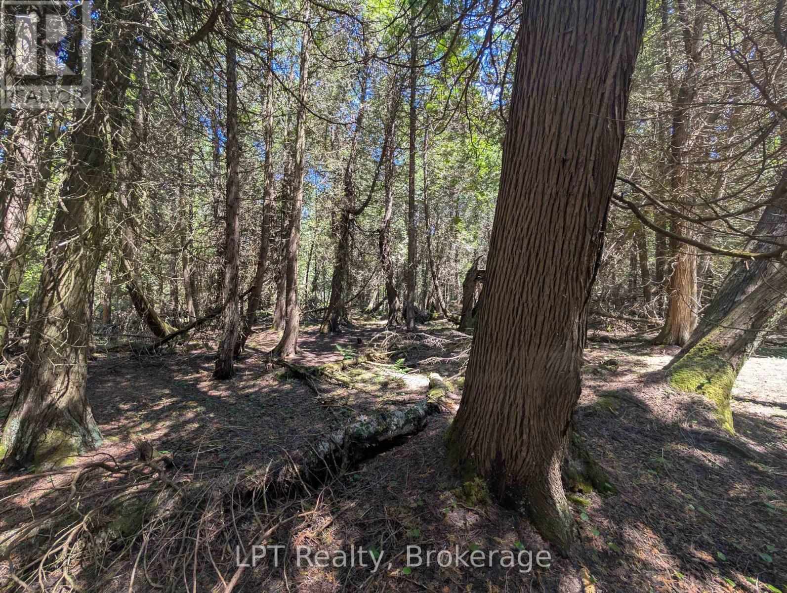 Pt Lt 56 Con 4 Cape Hurd Road, Northern Bruce Peninsula, Ontario  N0H 2R0 - Photo 14 - X12872090