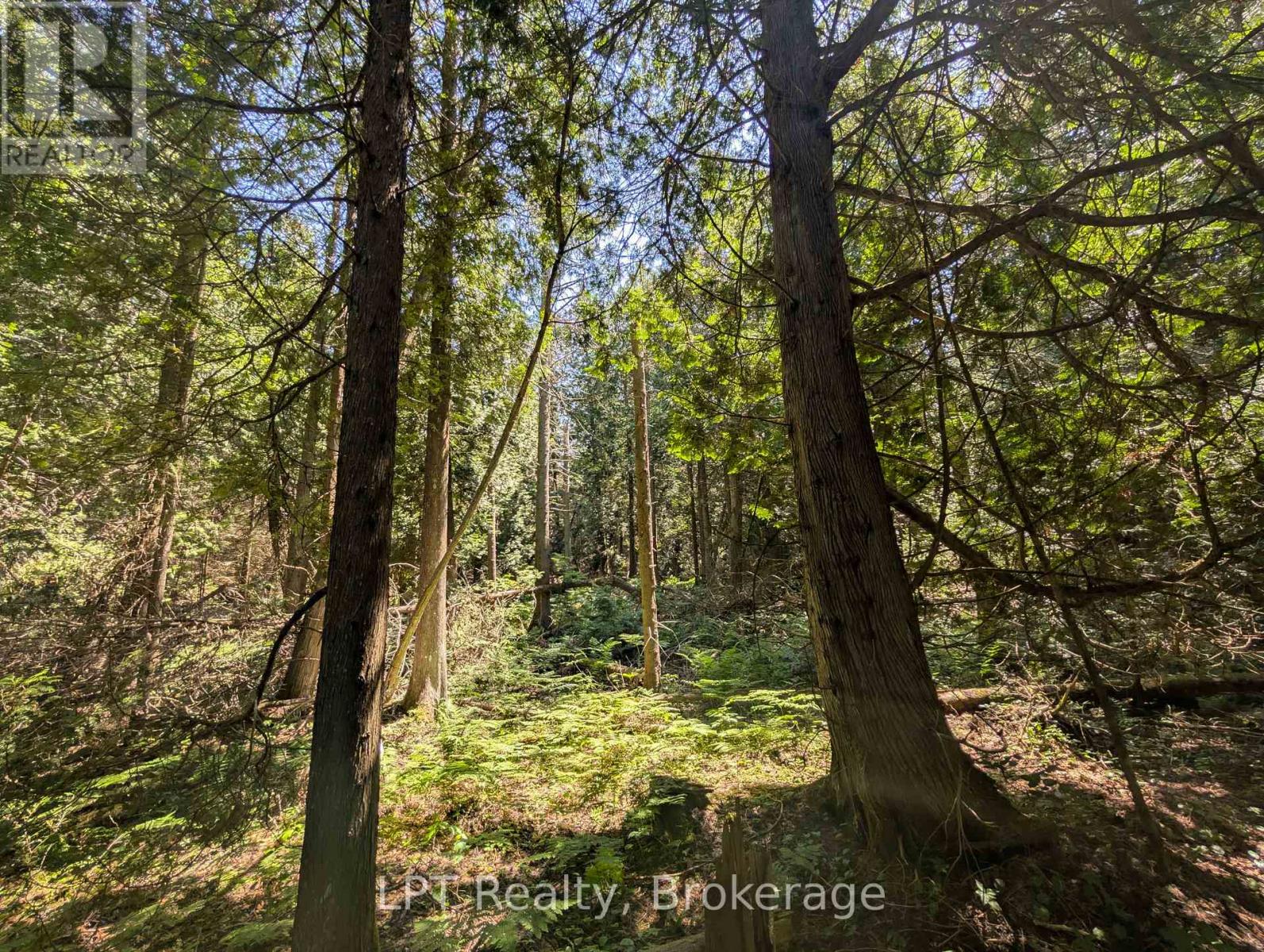 Pt Lt 56 Con 4 Cape Hurd Road, Northern Bruce Peninsula, Ontario  N0H 2R0 - Photo 24 - X12872090