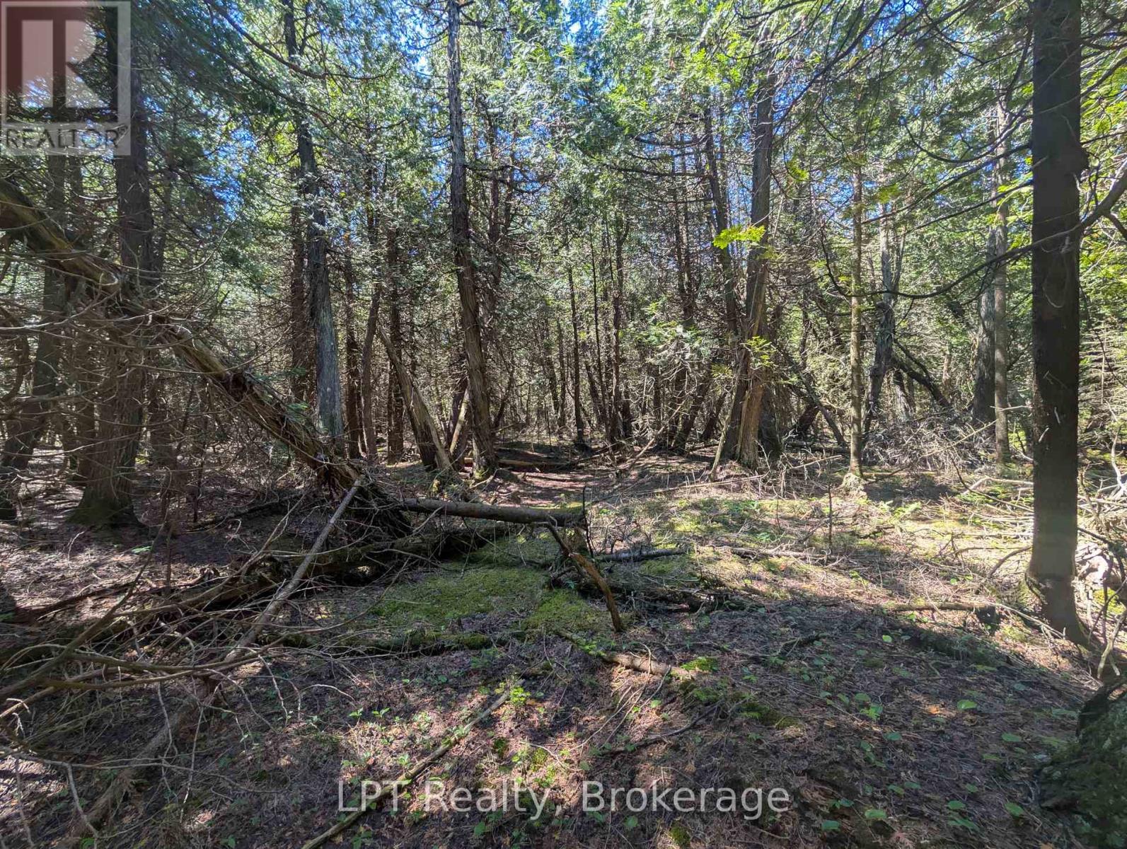 Pt Lt 56 Con 4 Cape Hurd Road, Northern Bruce Peninsula, Ontario  N0H 2R0 - Photo 27 - X12872090