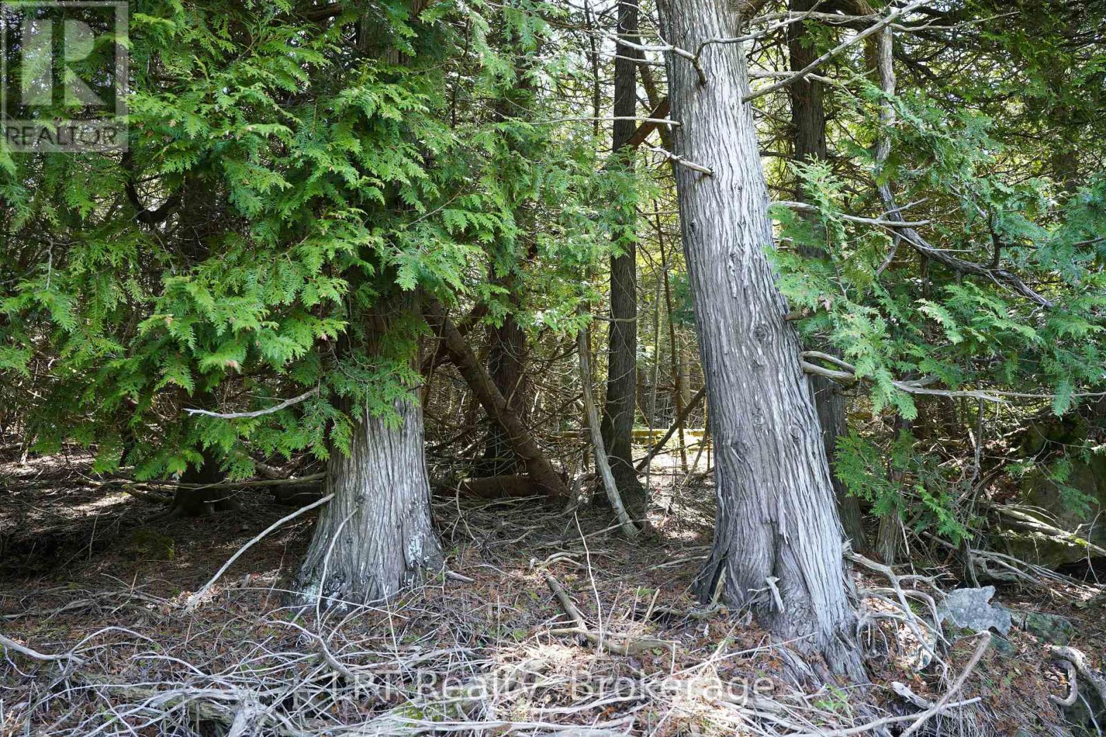Pt Lt 24 Spry Shore Road, Northern Bruce Peninsula, Ontario  N0H 1W0 - Photo 16 - X12863638