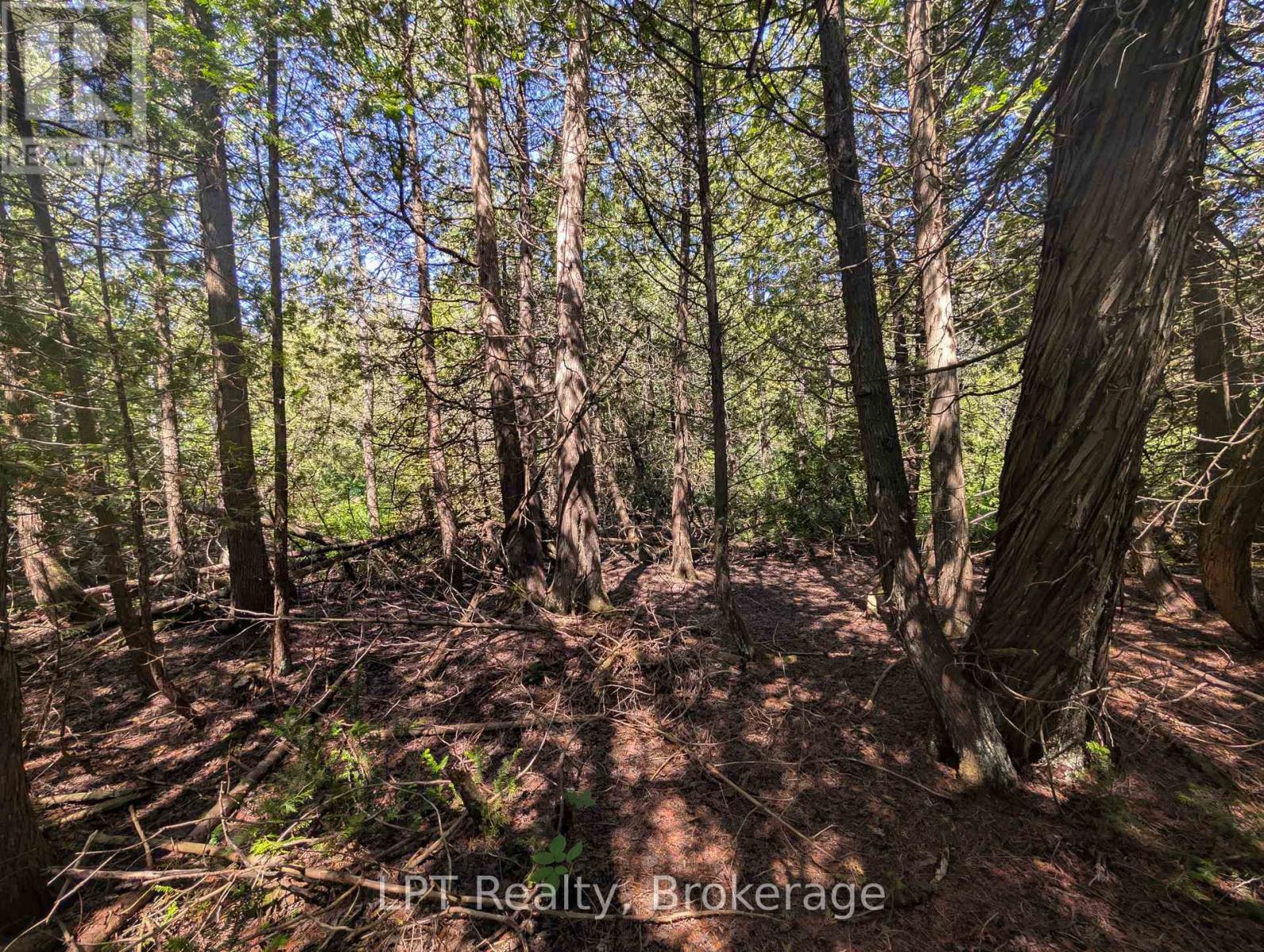 Pt Lt 56 Con 4 Cape Hurd Road, Northern Bruce Peninsula, Ontario  N0H 2R0 - Photo 26 - X12872090