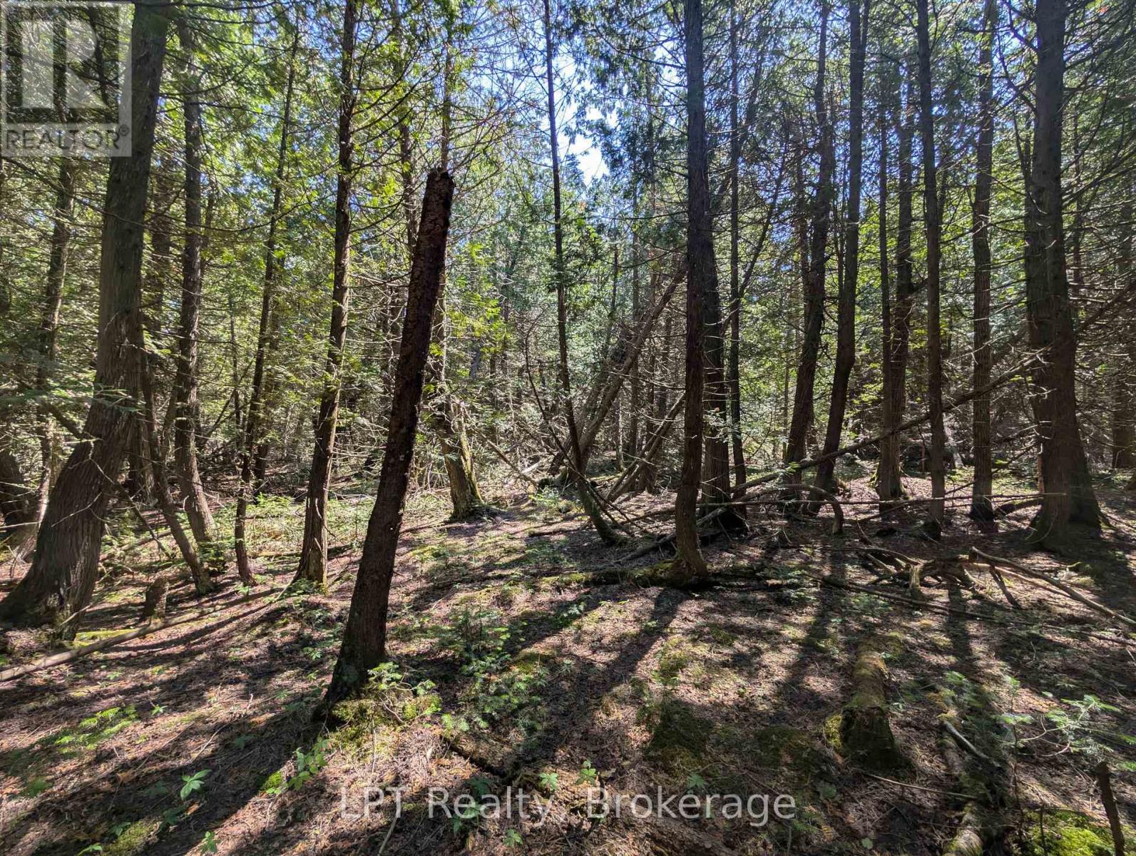 Pt Lt 56 Con 4 Cape Hurd Road, Northern Bruce Peninsula, Ontario  N0H 2R0 - Photo 28 - X12872090