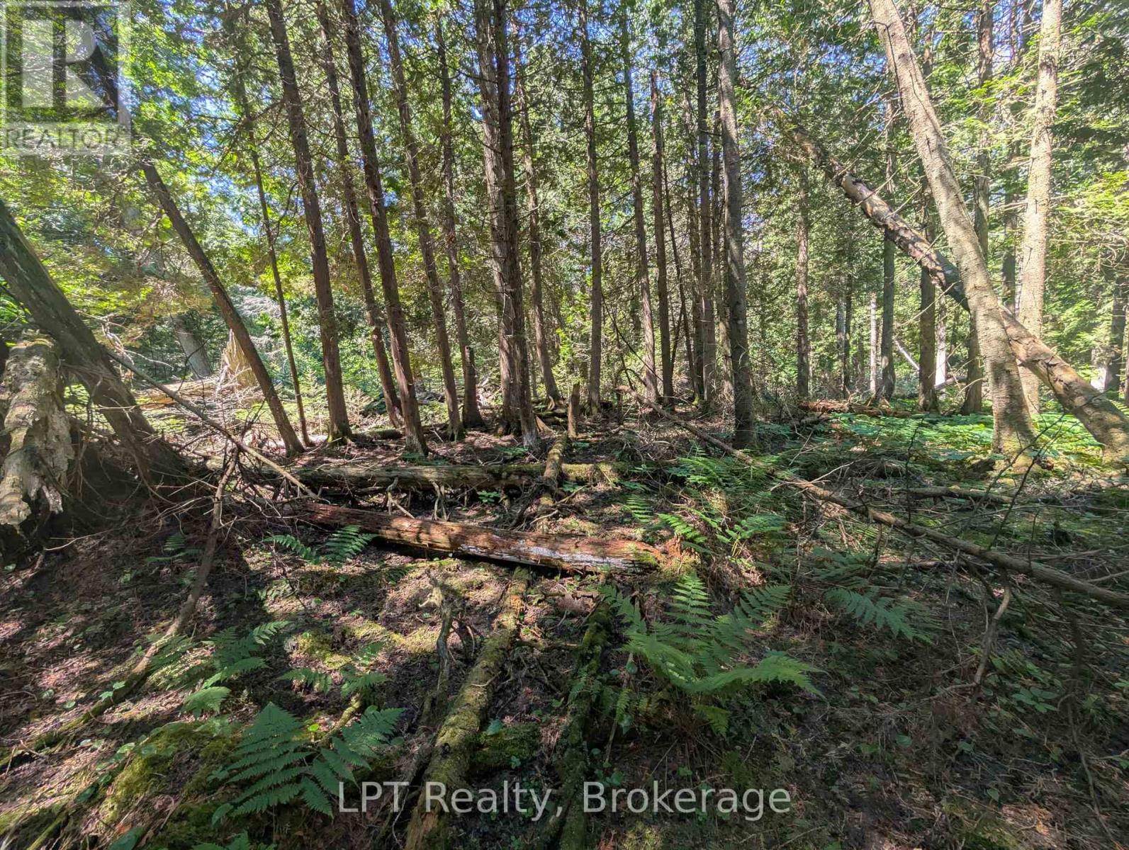 Pt Lt 56 Con 4 Cape Hurd Road, Northern Bruce Peninsula, Ontario  N0H 2R0 - Photo 21 - X12872090