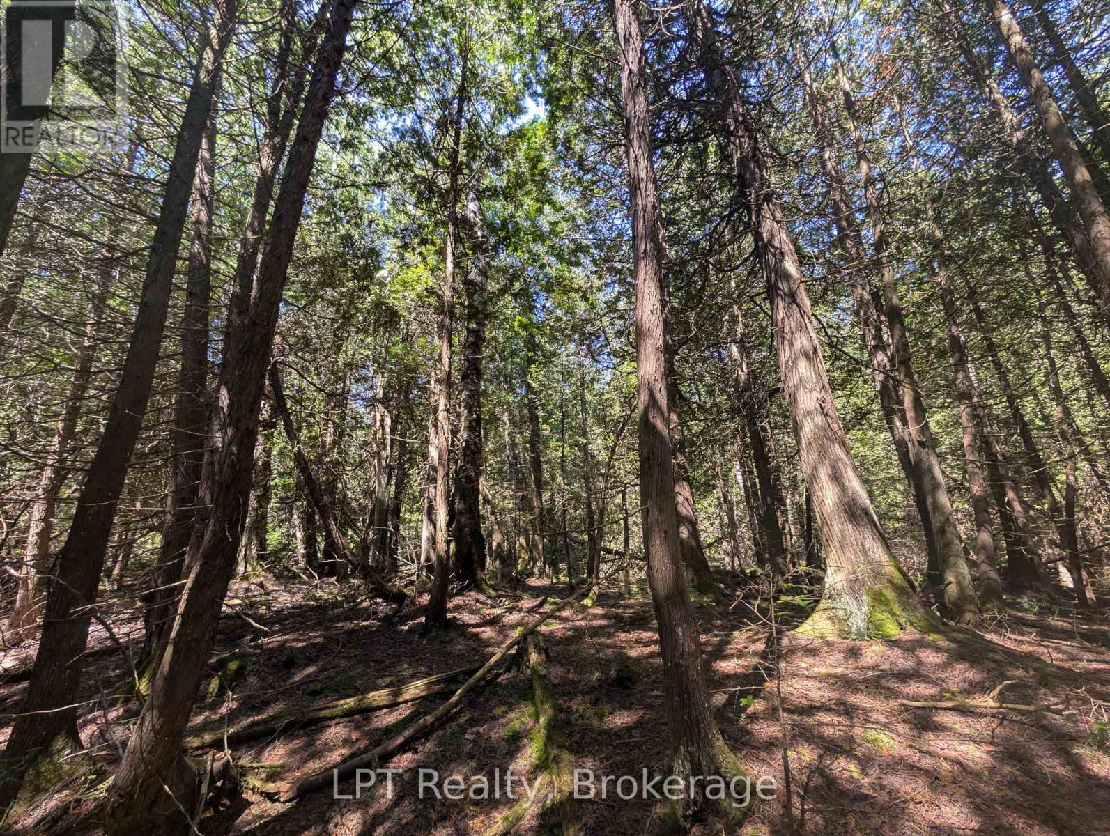 Pt Lt 56 Con 4 Cape Hurd Road, Northern Bruce Peninsula, Ontario  N0H 2R0 - Photo 12 - X12872090