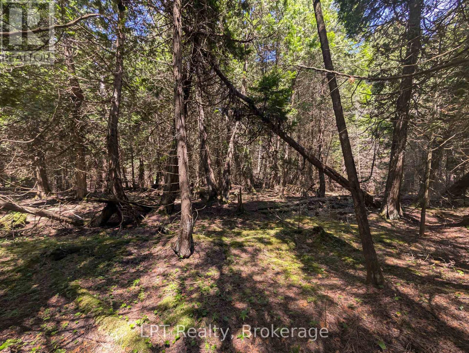 Pt Lt 56 Con 4 Cape Hurd Road, Northern Bruce Peninsula, Ontario  N0H 2R0 - Photo 13 - X12872090