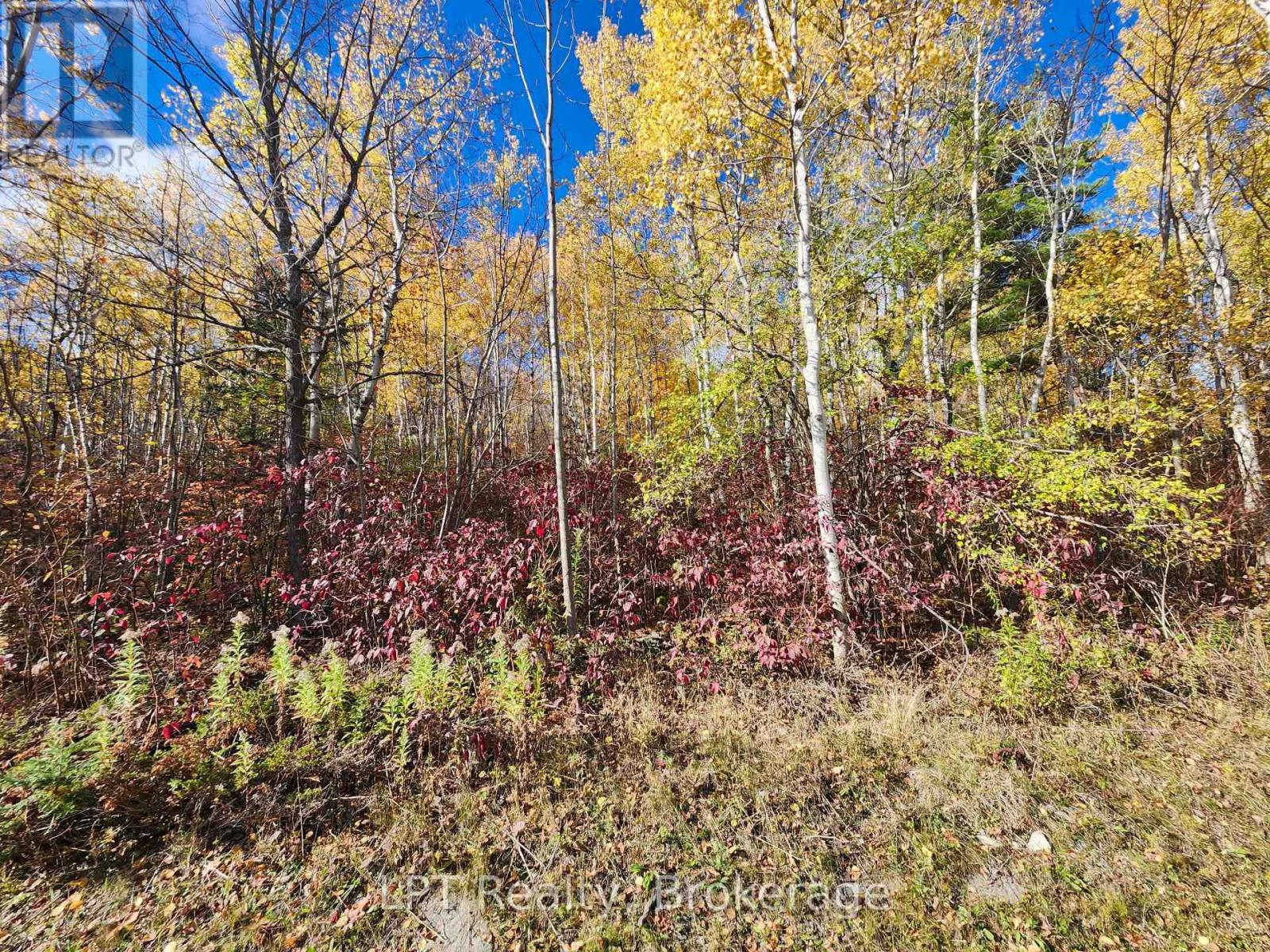 Lt 15 Plan 834 Grey Road 1, Georgian Bluffs, Ontario  N0H 1S0 - Photo 4 - X12879948