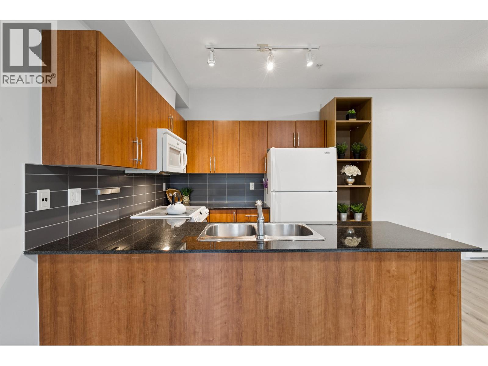 201 1661 Fraser Avenue, Port Coquitlam, British Columbia  V3B 0B6 - Photo 4 - R3126360