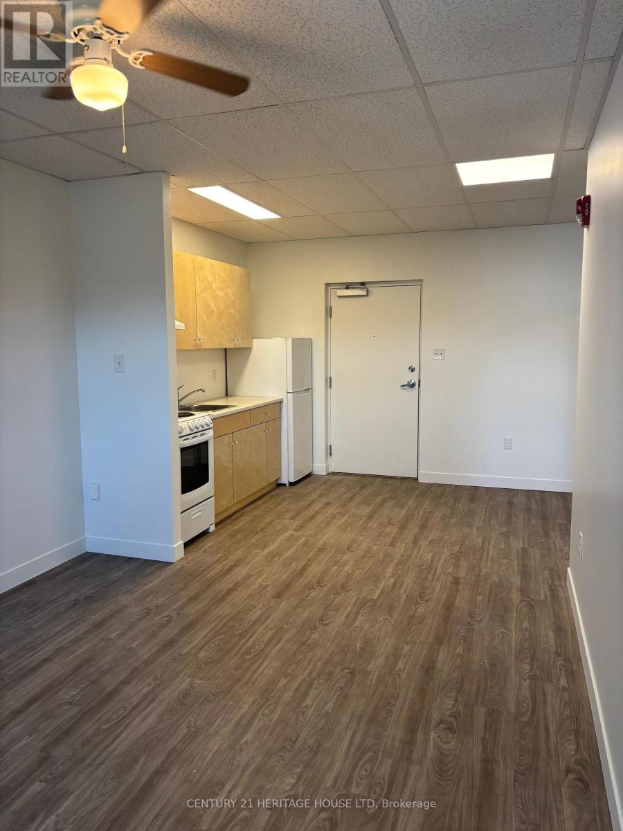 203 - 50 Scott Street, St. Thomas, Ontario N5P 1K6 - Photo 4 - X13692500