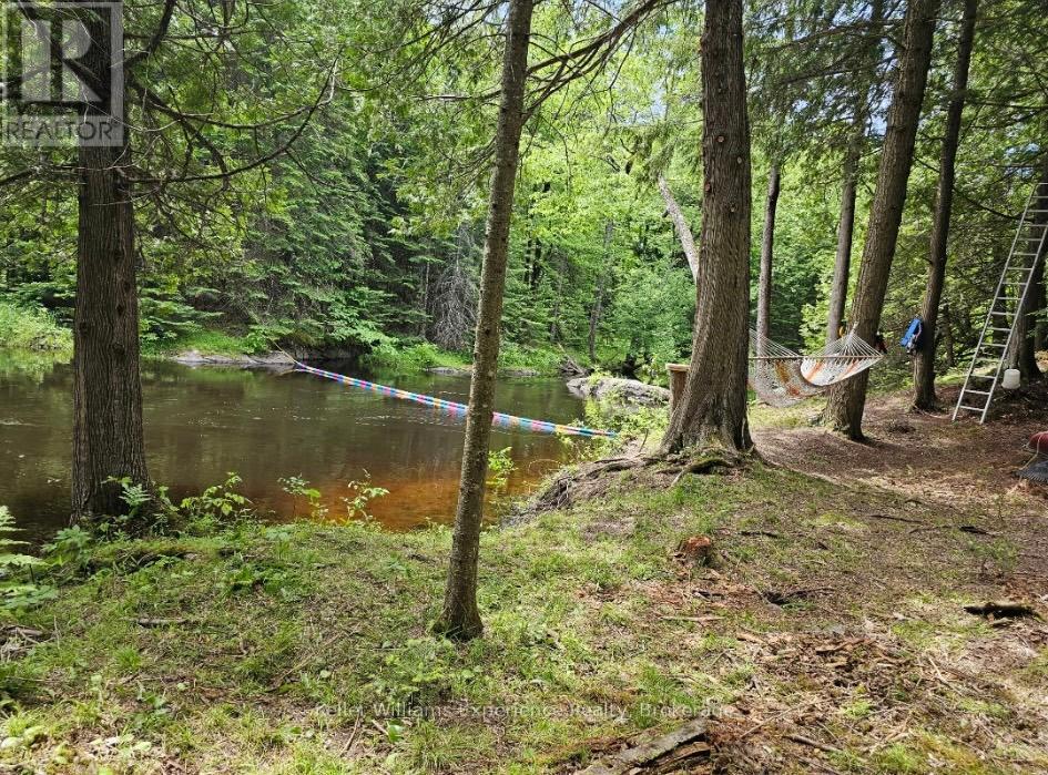 31 Digby Laxton Boundary Road, Kawartha Lakes, Ontario  K0M 2B0 - Photo 6 - X13069078