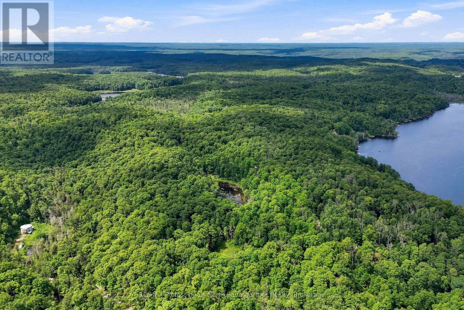 0 Salerno Lake Road, Highlands East (Glamorgan), Ontario  K0M 1S0 - Photo 12 - X13692442