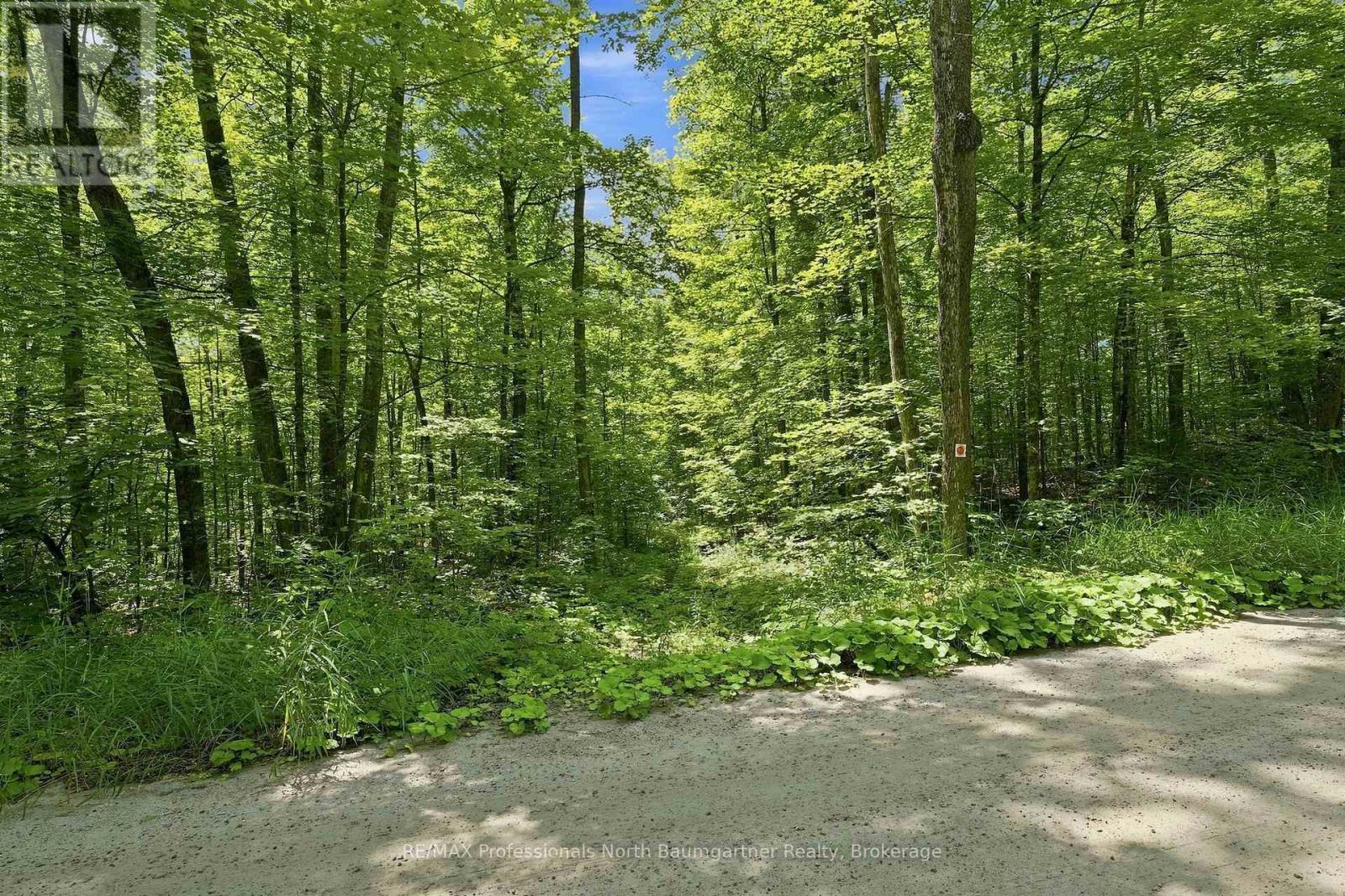 0 Salerno Lake Road, Highlands East (Glamorgan), Ontario  K0M 1S0 - Photo 5 - X13692442