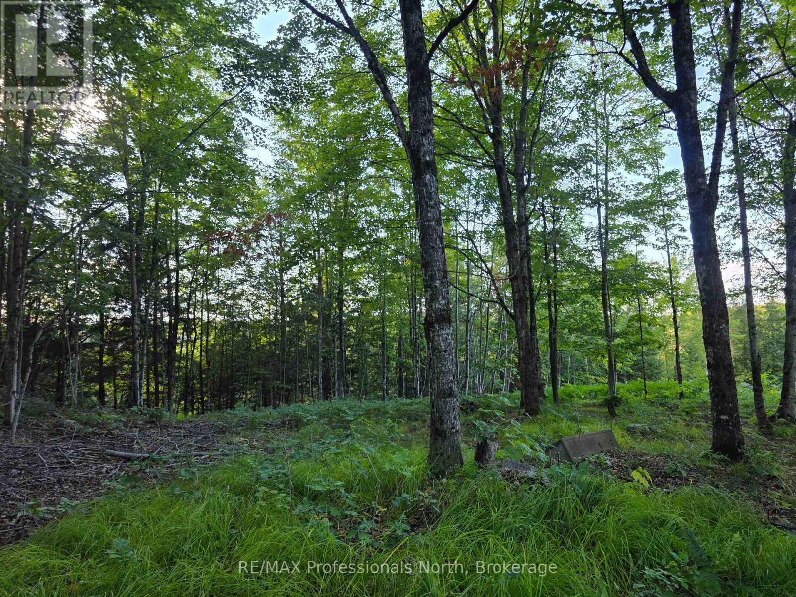 1026 Puffer Road, Minden Hills (Minden), Ontario  K0M 2K0 - Photo 11 - X13692592