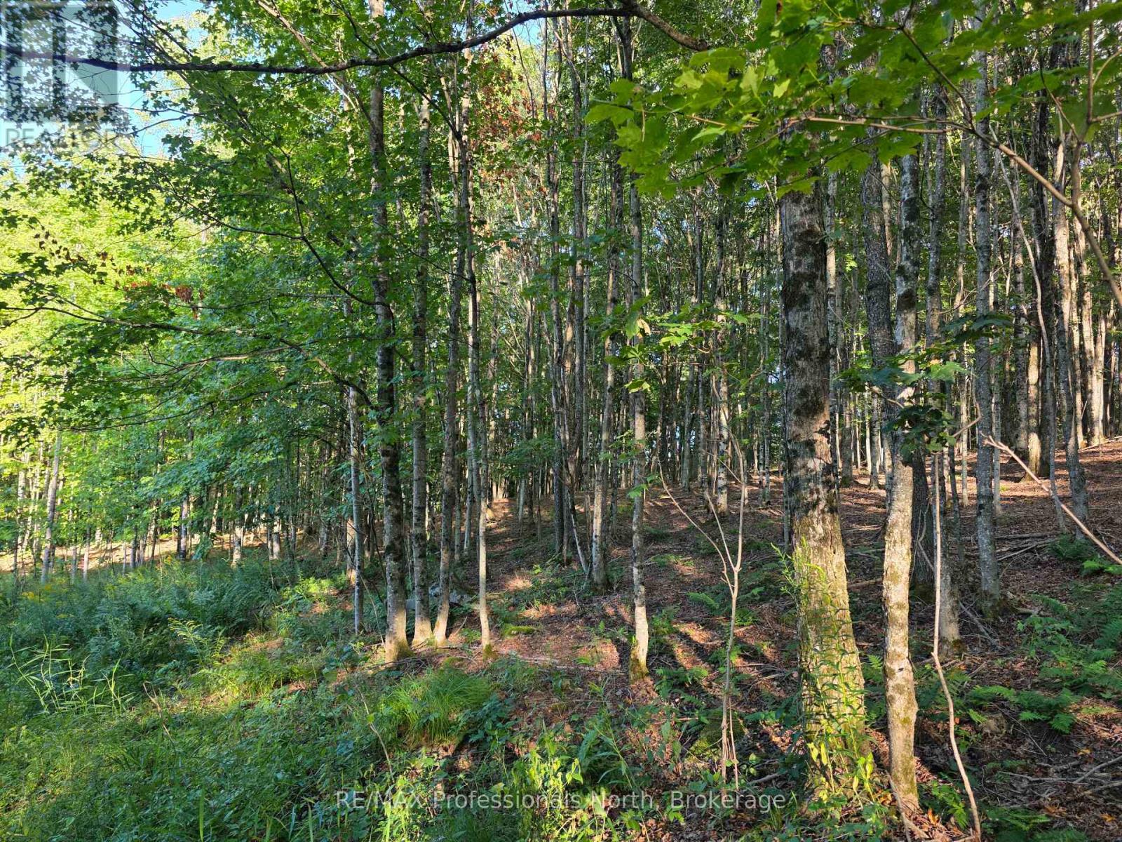 1026 Puffer Road, Minden Hills (Minden), Ontario  K0M 2K0 - Photo 3 - X13692592
