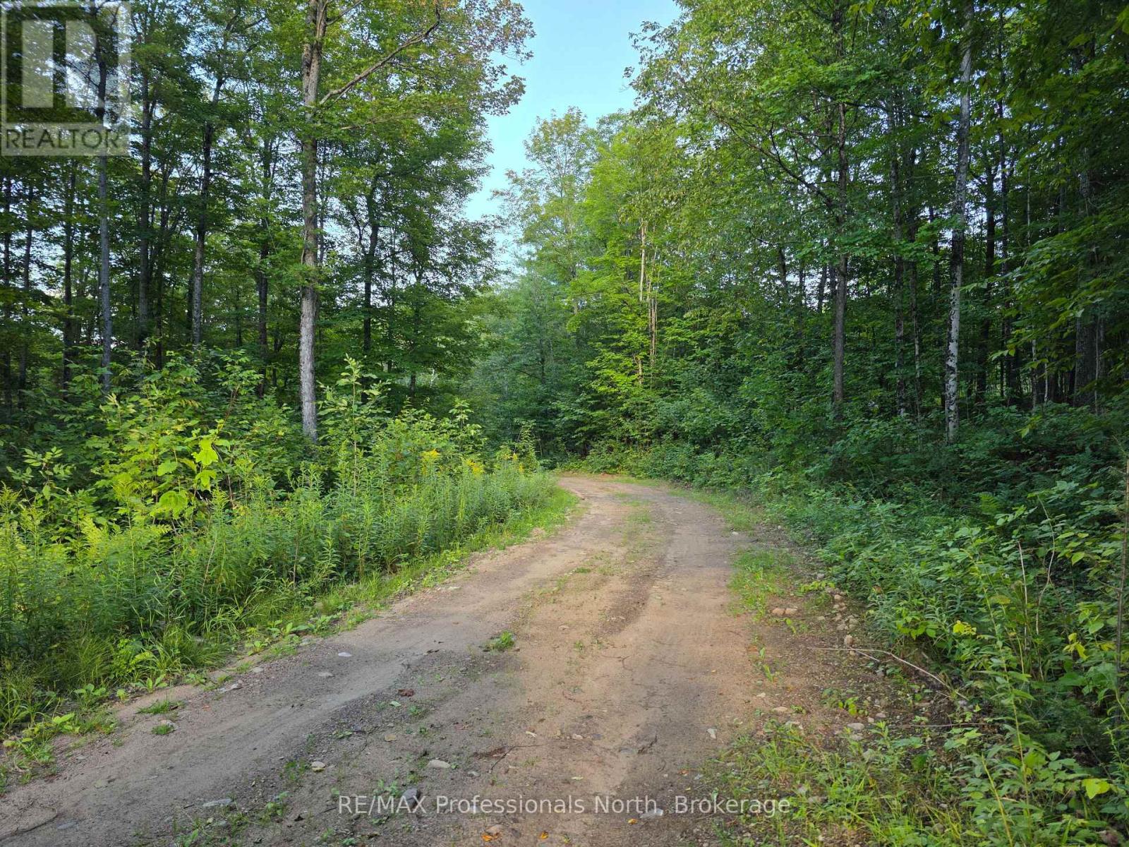 1026 Puffer Road, Minden Hills (Minden), Ontario  K0M 2K0 - Photo 6 - X13692592