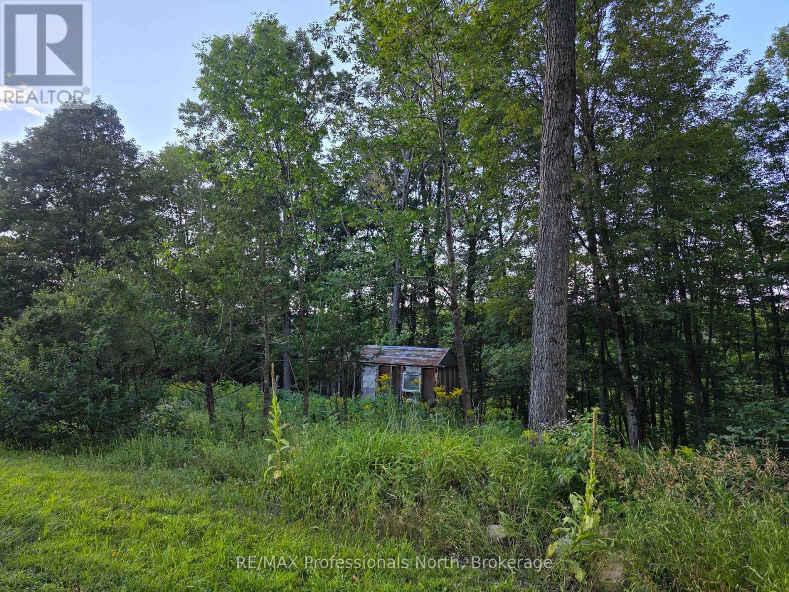 1026 Puffer Road, Minden Hills (Minden), Ontario  K0M 2K0 - Photo 7 - X13692592