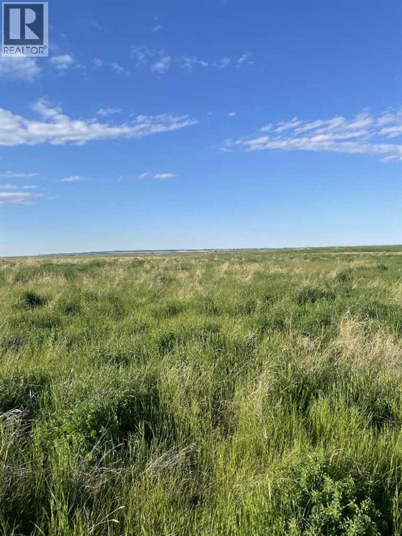 Township Rd 182 Township Rd 182, Brant, Alberta T0L 0L0 - Photo 6 - A2322096