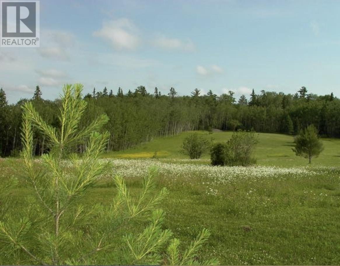 Pipestone Peninsula, Moore Bay-Andrew Bay-Lake Of The Woods, Sioux Narrows, Ontario P0X 0A4 - Photo 2 - TB2601068