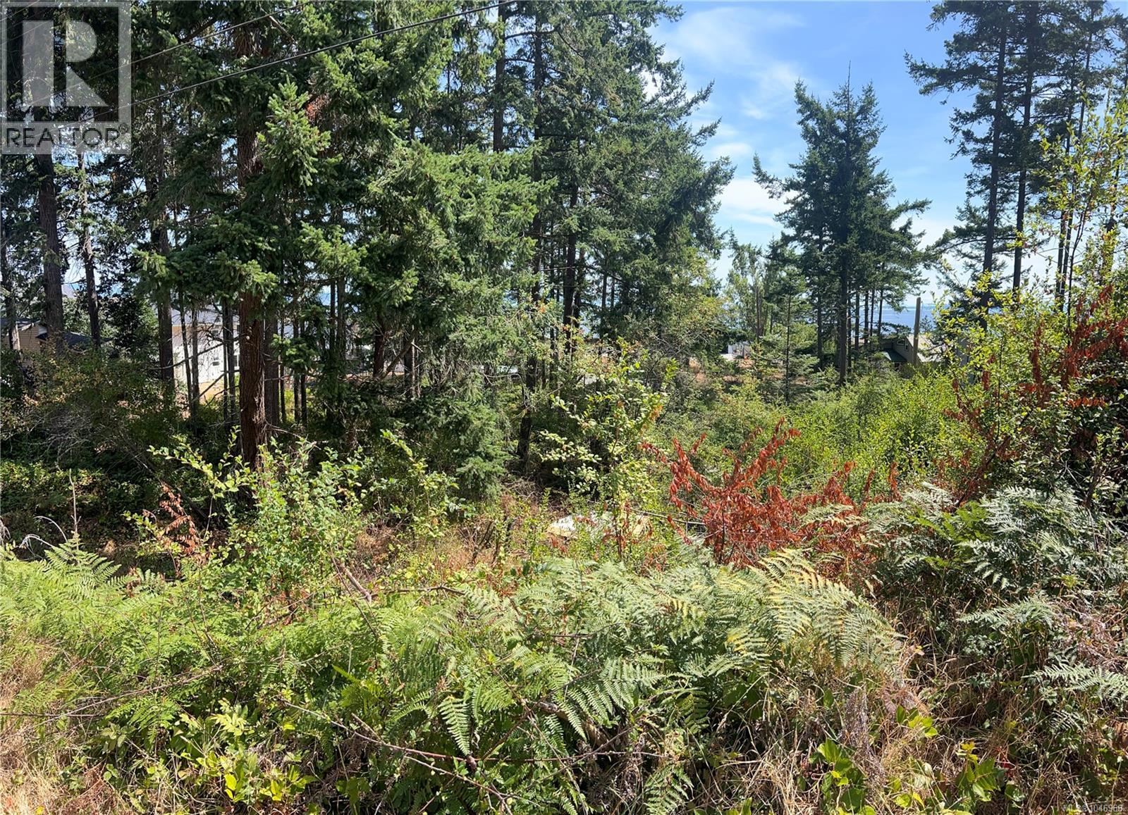 Lot 27 Walter Rd, Comox, British Columbia  V9M 3V7 - Photo 26 - 1046968