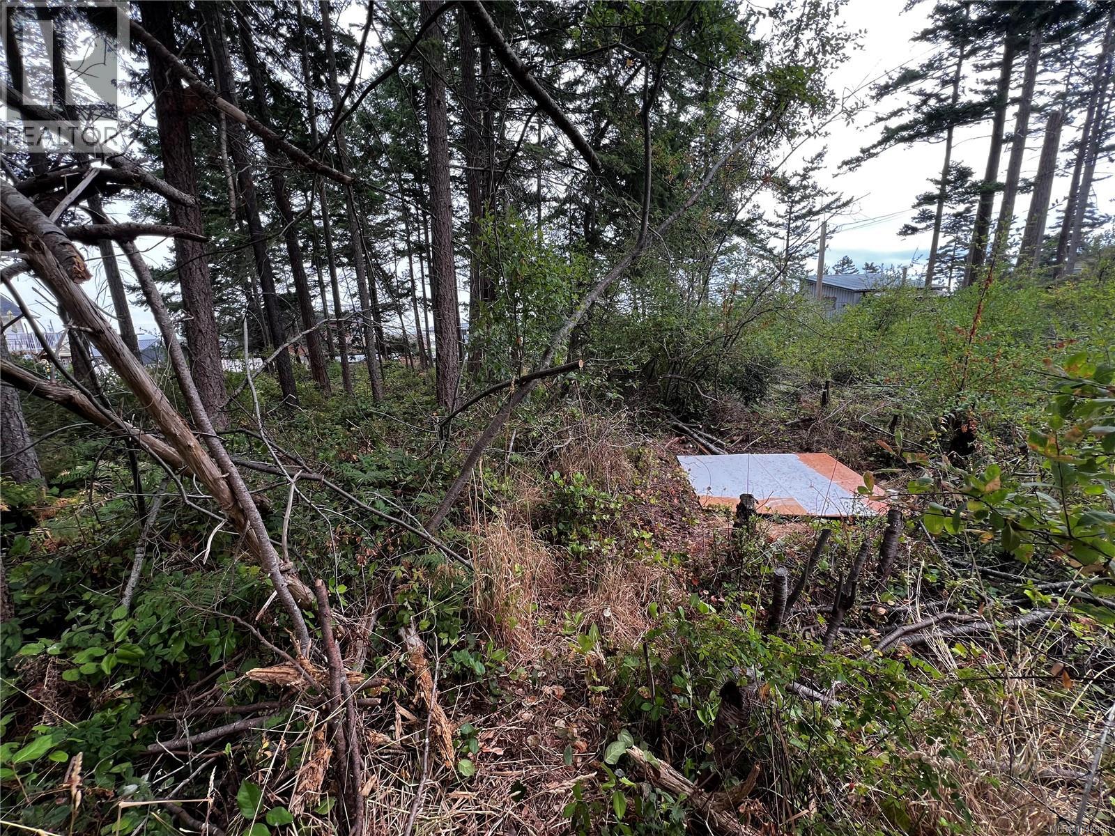 Lot 27 Walter Rd, Comox, British Columbia  V9M 3V7 - Photo 21 - 1046968